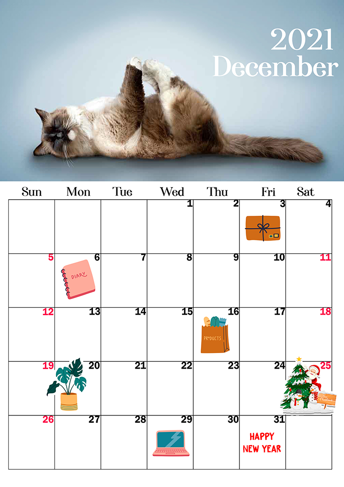 Funny Yoga Cat Personalized Theme 2021 2022 Mid Year Calendar A4 Hanging Wall Blank Monthly Gregorian Calendar - Trendy House