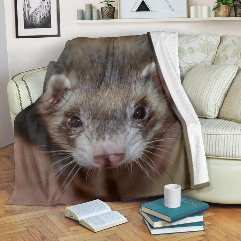 ferret blankets