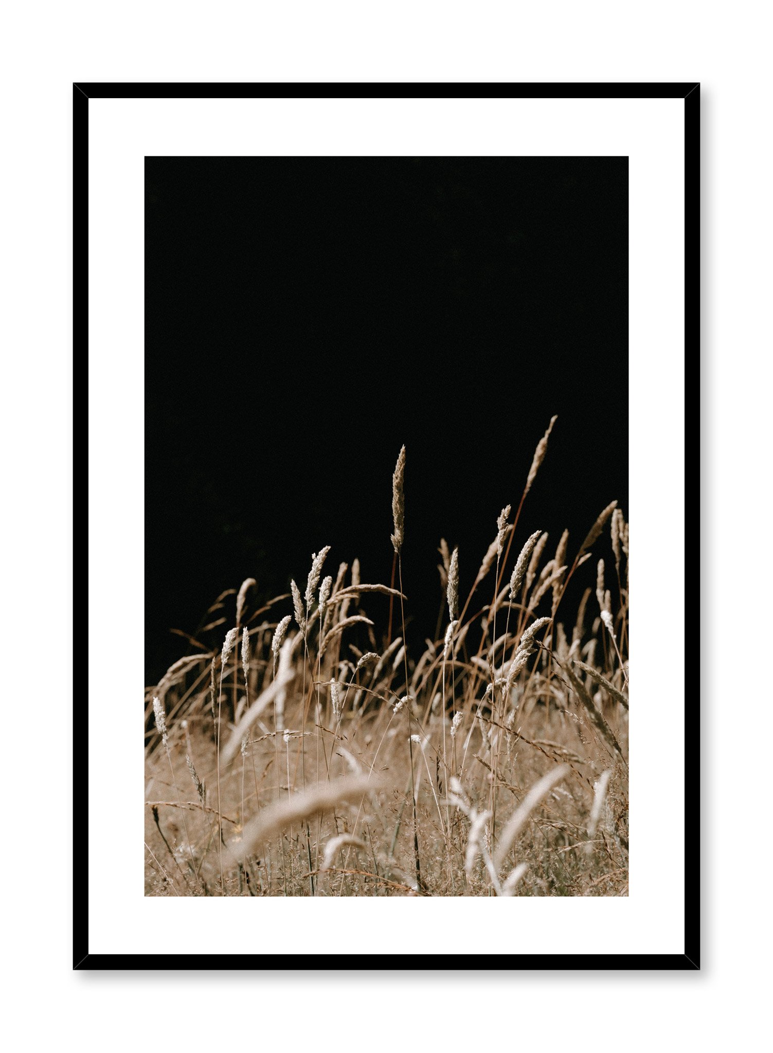 A Night In The Field Poster Prints Wall Art Gift For Home Decoration 12x18 16x24 20x30 24x36 Inches