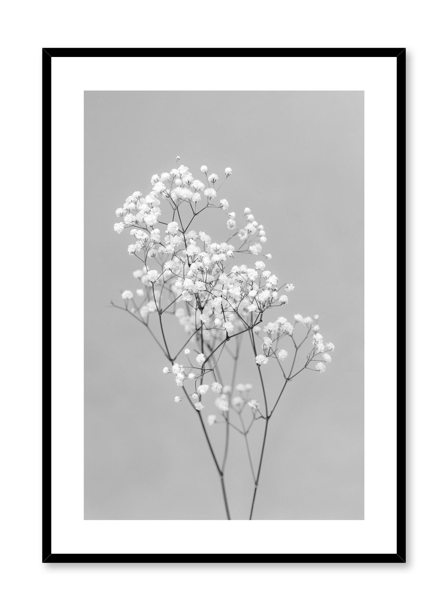 Baby's Breath In Black Poster Prints Wall Art Gift For Home Decoration 12x18 16x24 20x30 24x36 Inches