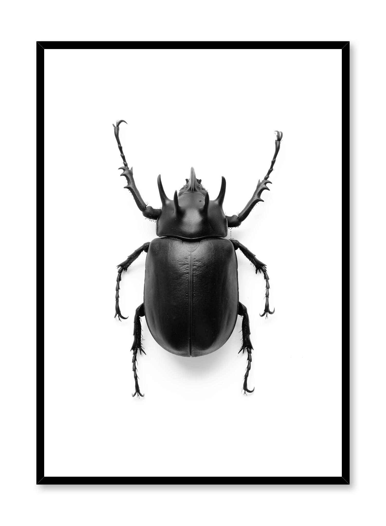 Beetle Poster Prints Wall Art Gift For Home Decoration 12x18 16x24 20x30 24x36 Inches