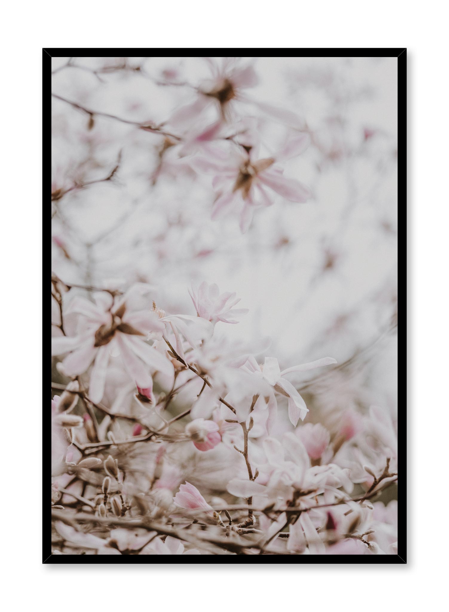 Bird's Eye Poster Prints Wall Art Gift For Home Decoration 12x18 16x24 20x30 24x36 Inches