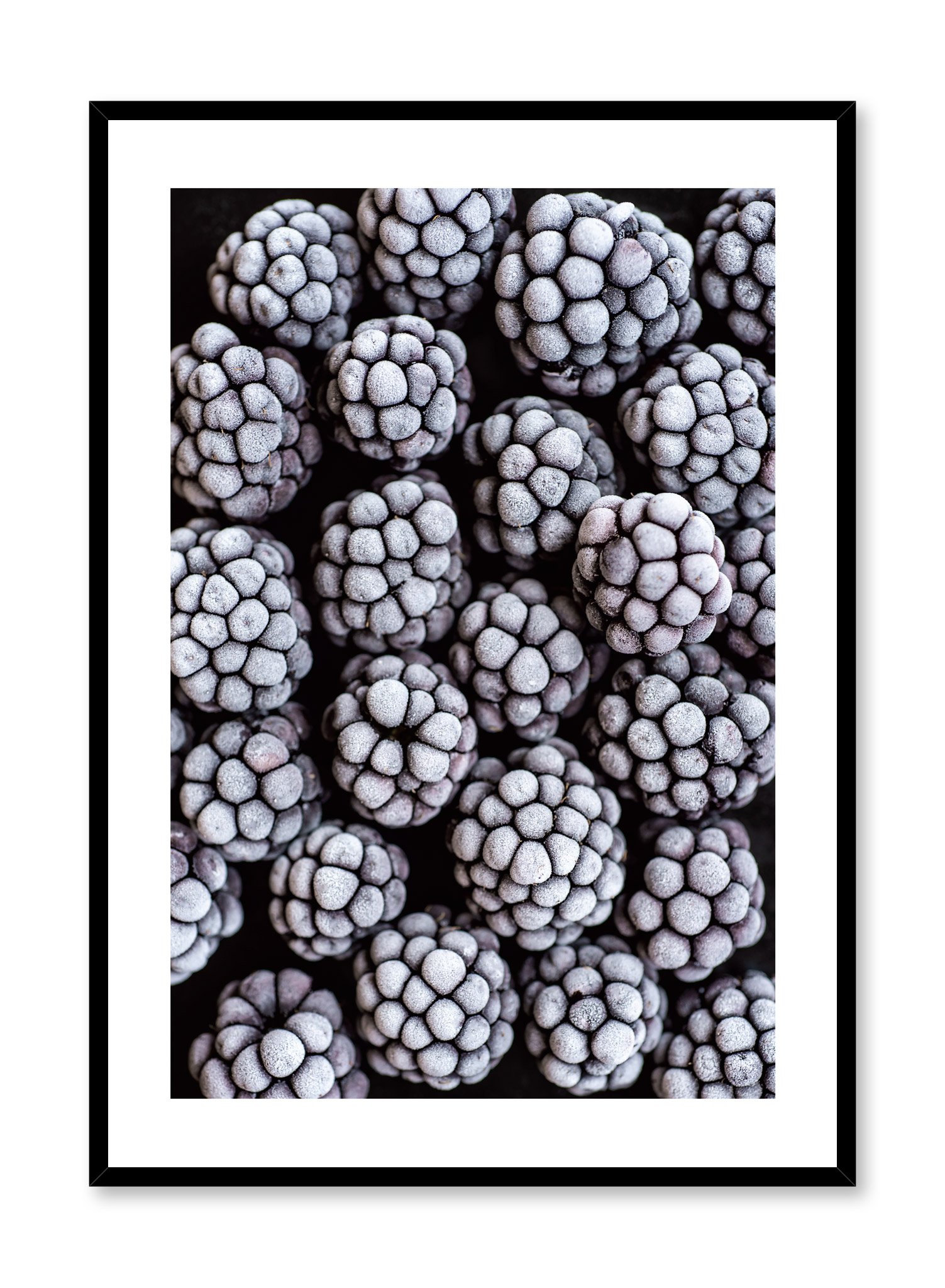 Blackberry Poster Prints Wall Art Gift For Home Decoration 12x18 16x24 20x30 24x36 Inches