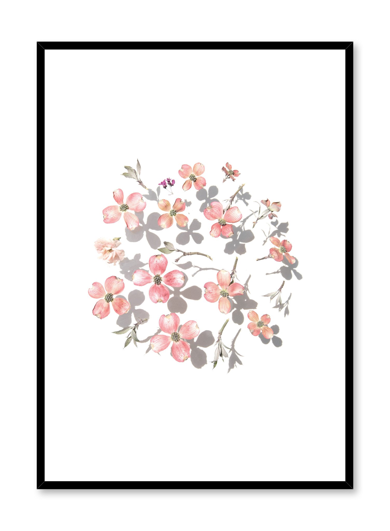 Blooming Shadows Poster Prints Wall Art Gift For Home Decoration 12x18 16x24 20x30 24x36 Inches