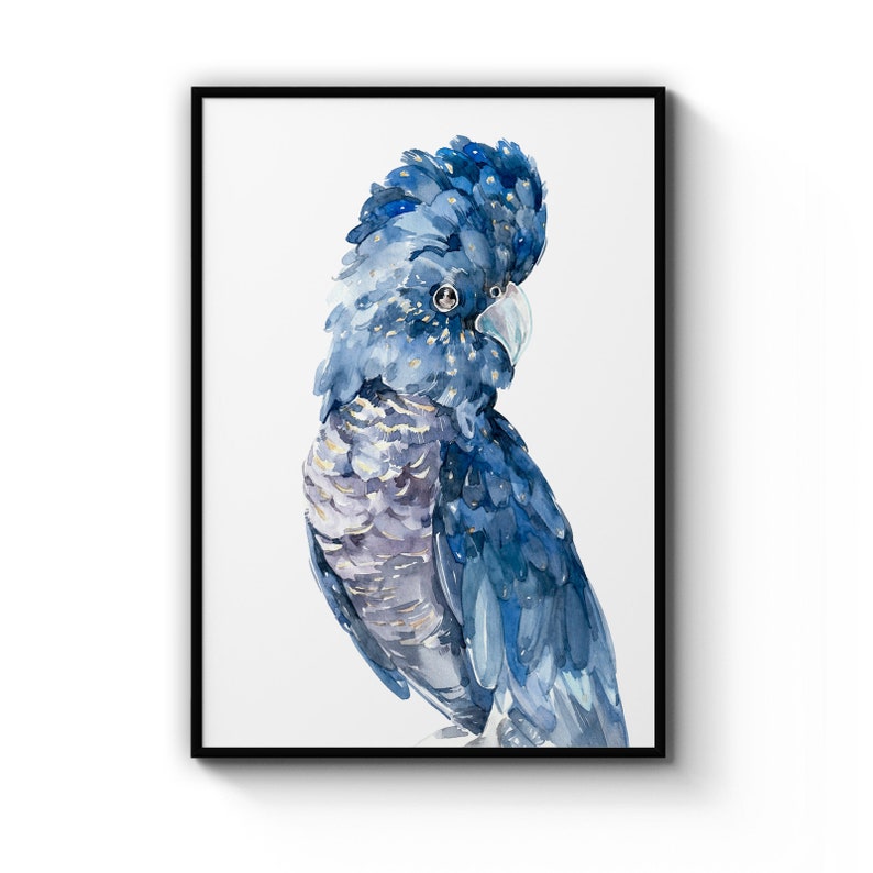 Blue Cockatoo Australian Bird Watercol Painting Portrait Minimal Gift , Poster Prints Wall Art Gift For Home Decoration 12x18 16x24 20x30 24x36 Inches