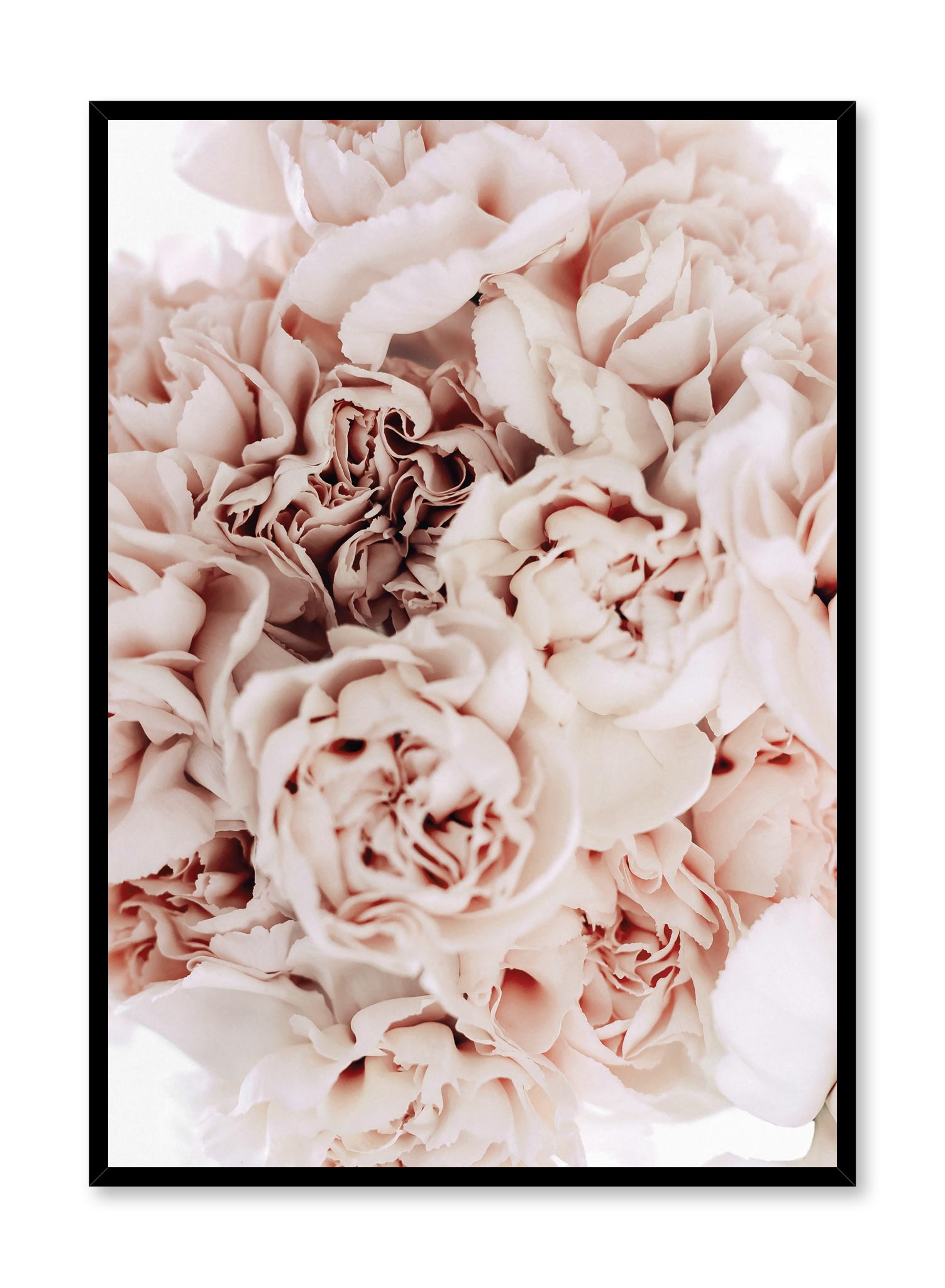 Bouquet Of Peonies Poster Prints Wall Art Gift For Home Decoration 12x18 16x24 20x30 24x36 Inches