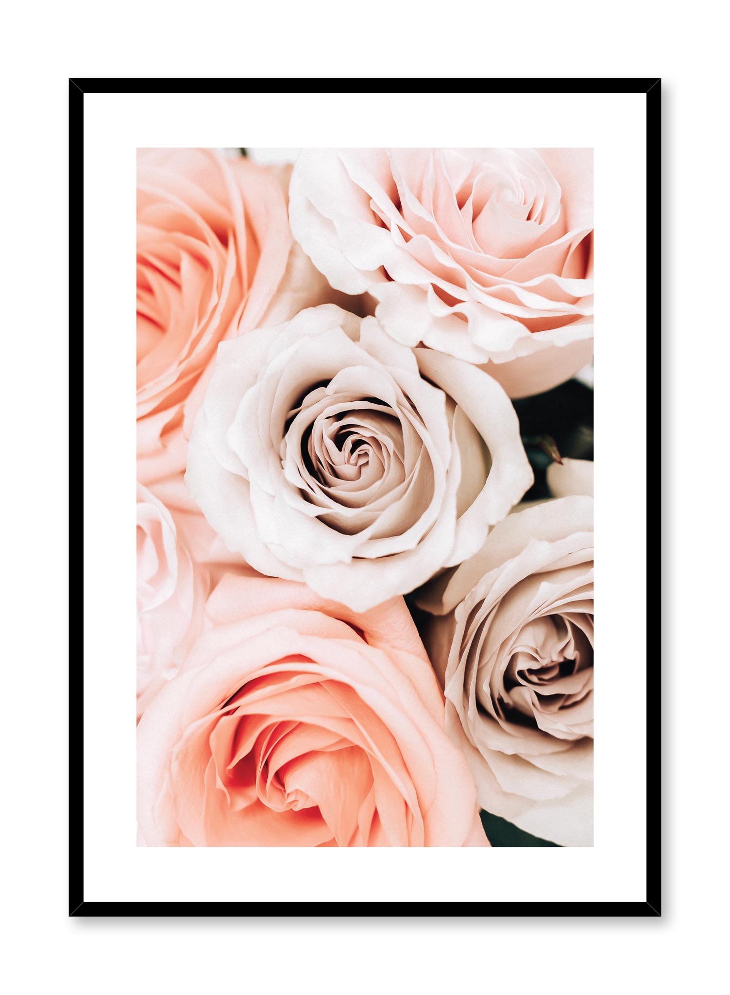 Bouquet Of Roses Poster Prints Wall Art Gift For Home Decoration 12x18 16x24 20x30 24x36 Inches