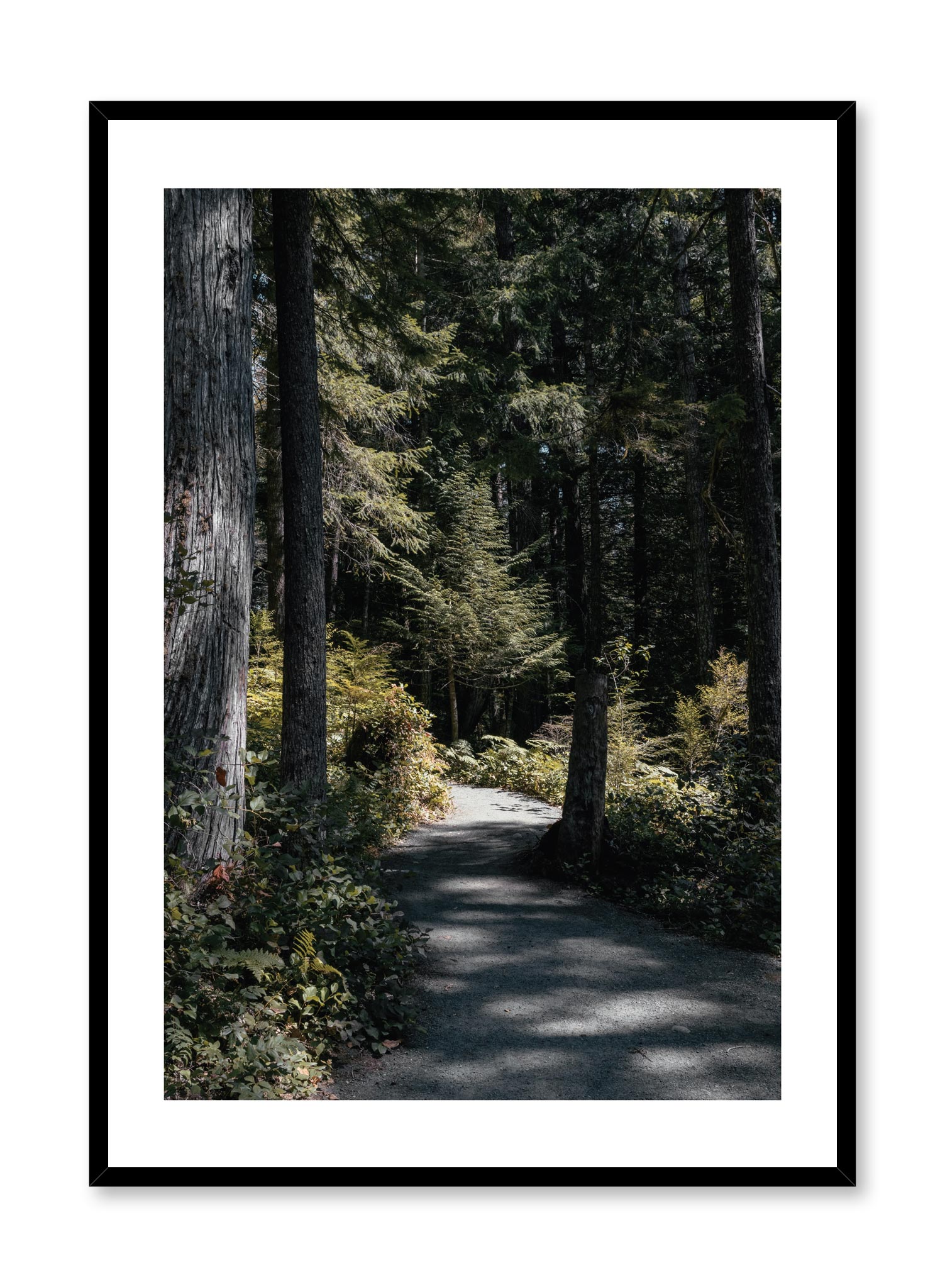 Bright Days Poster Prints Wall Art Gift For Home Decoration 12x18 16x24 20x30 24x36 Inches