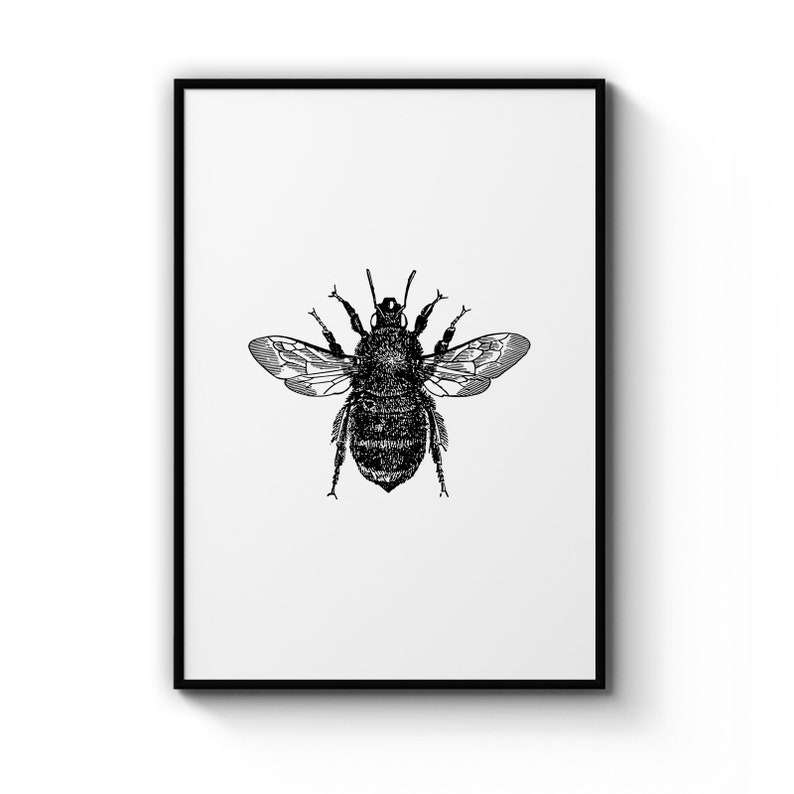 Bumble Bee Drawing Insect Honey Nature Nursery Animal Poster Prints Wall Art Gift For Home Decoration 12x18 16x24 20x30 24x36 Inches