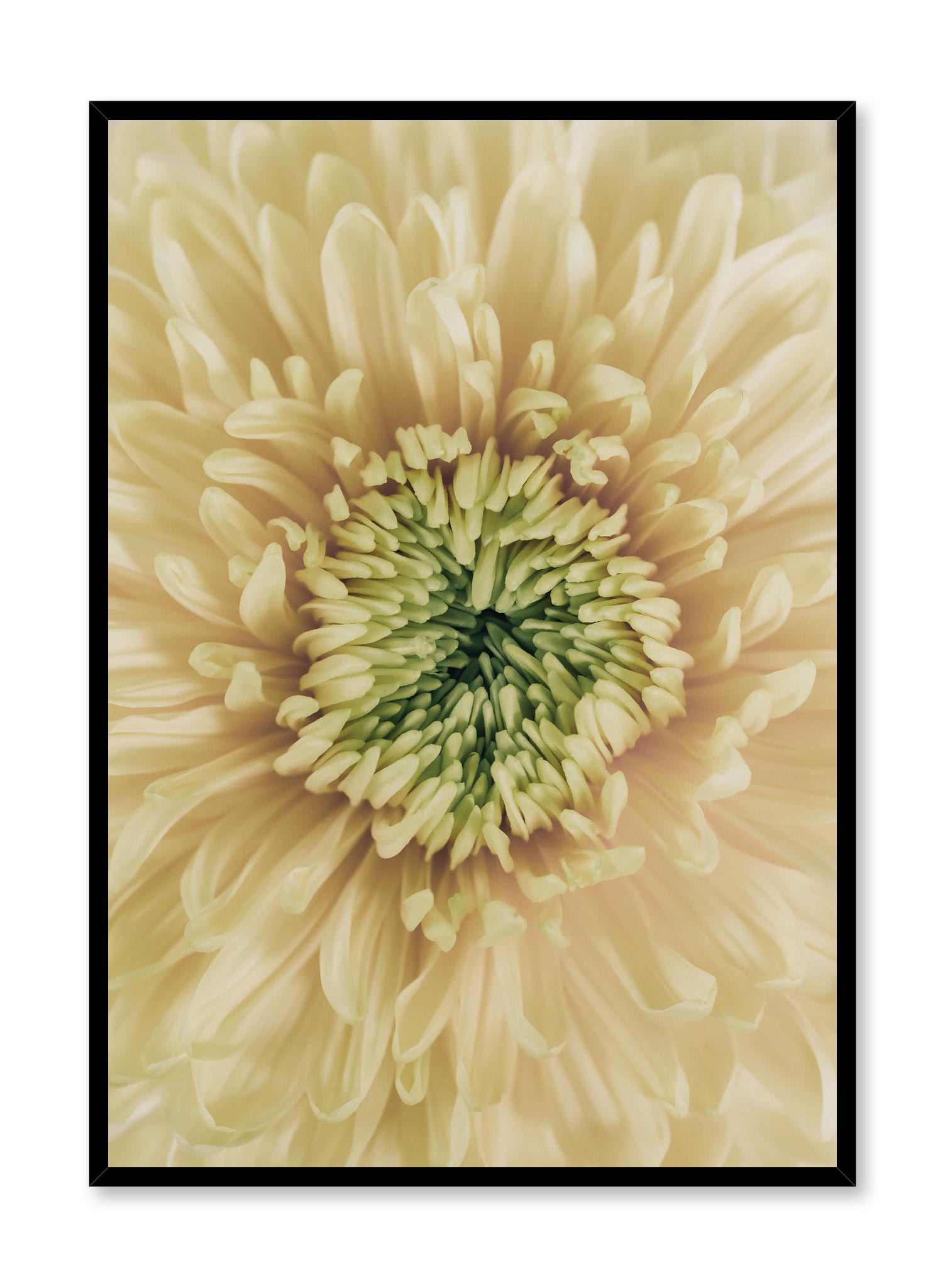 Burst Of Freshness Poster Prints Wall Art Gift For Home Decoration 12x18 16x24 20x30 24x36 Inches