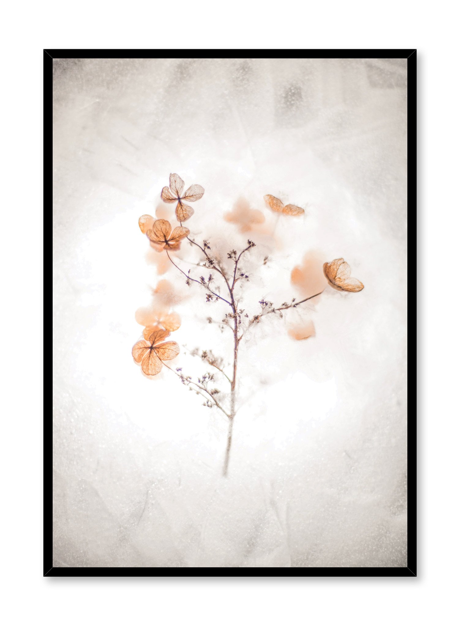 Butterfly Blossoms Poster Prints Wall Art Gift For Home Decoration 12x18 16x24 20x30 24x36 Inches