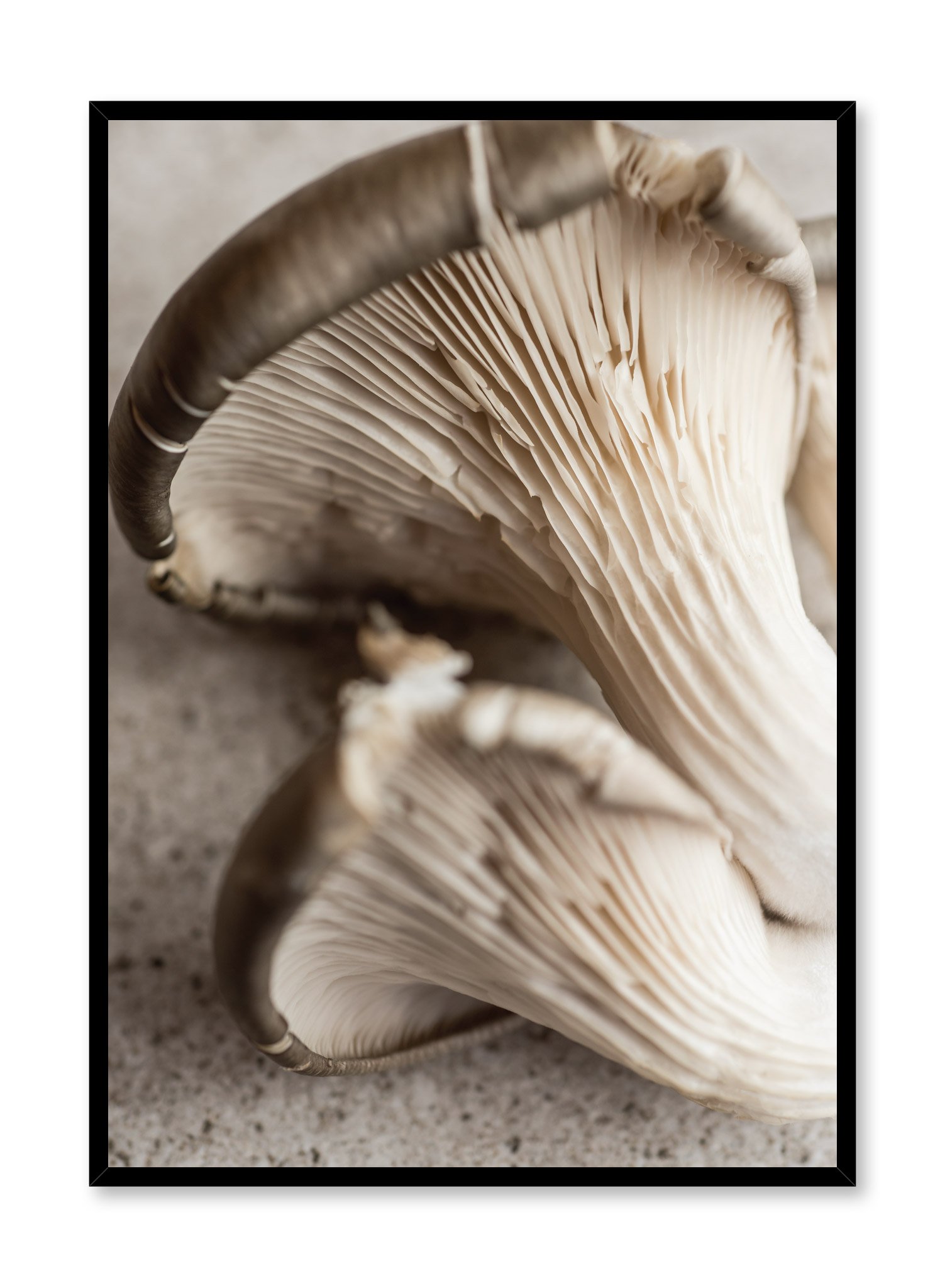 Champignon Poster Prints Wall Art Gift For Home Decoration 12x18 16x24 20x30 24x36 Inches