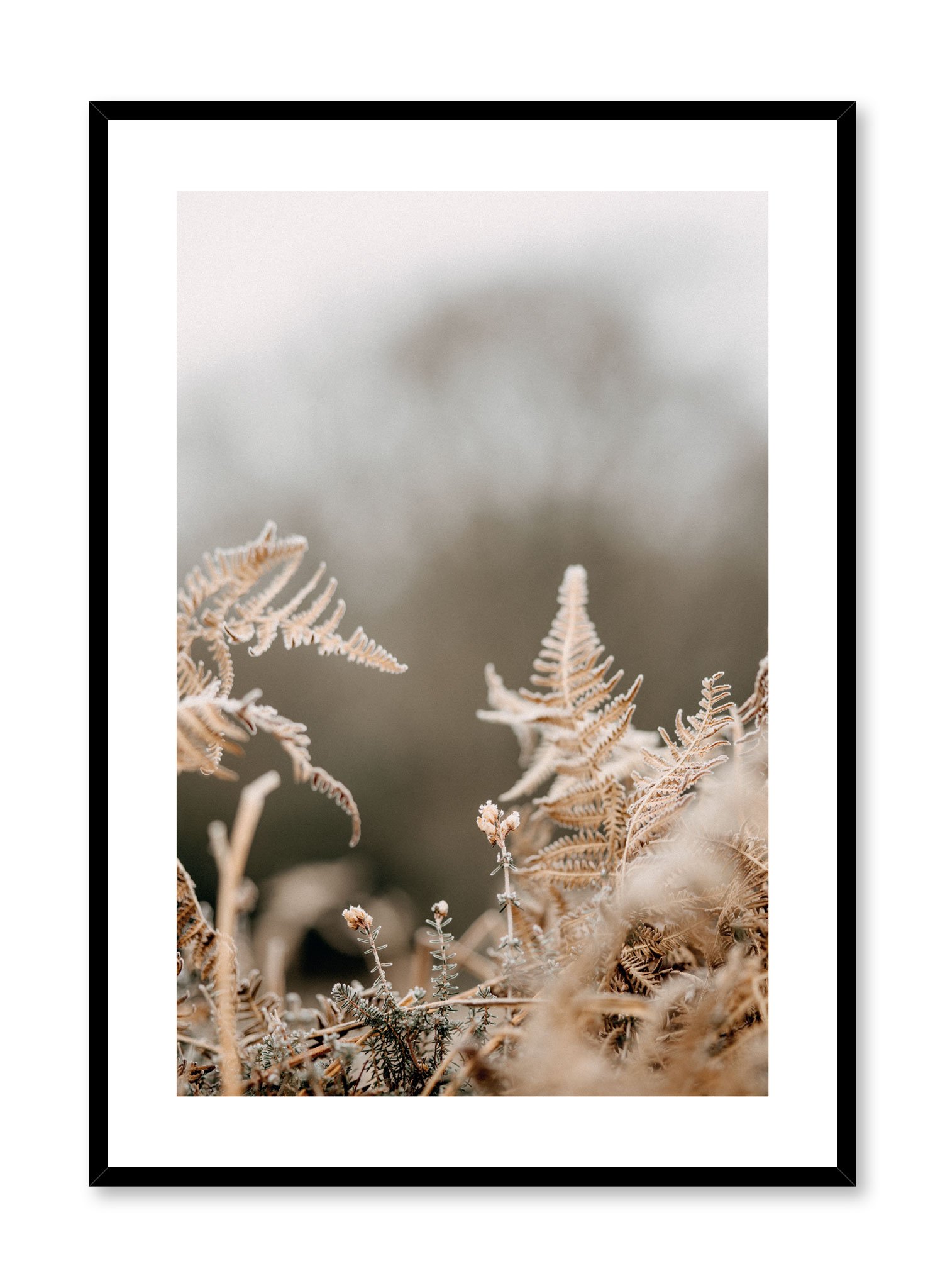 Chilly Conifer Poster Prints Wall Art Gift For Home Decoration 12x18 16x24 20x30 24x36 Inches