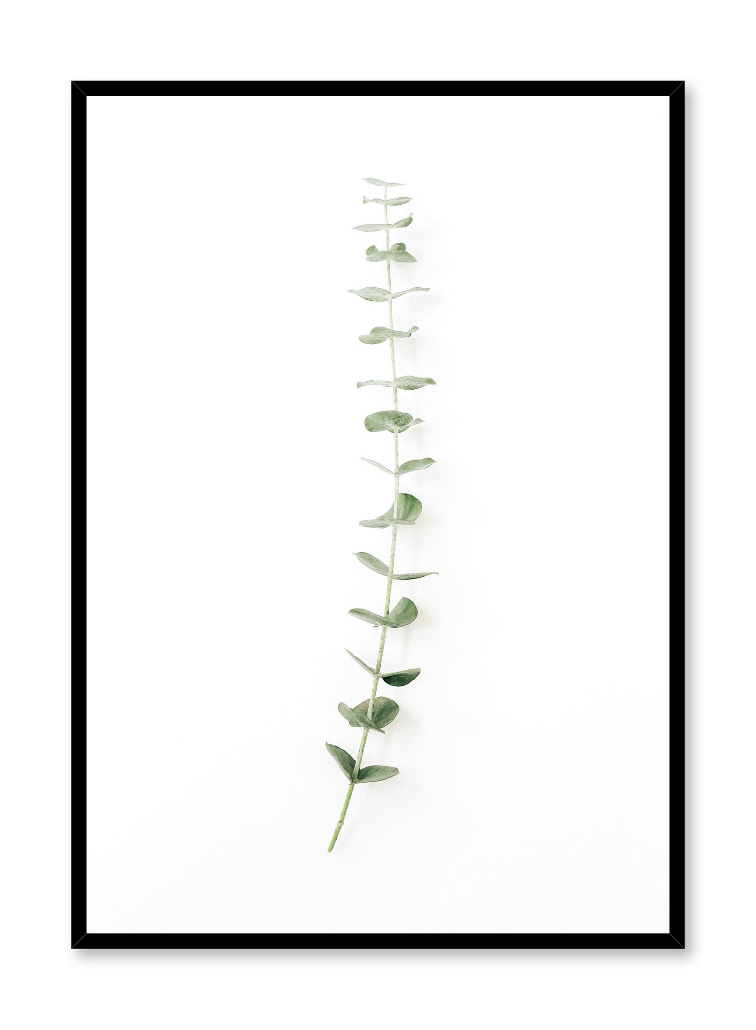 Classic Stem Poster Prints Wall Art Gift For Home Decoration 12x18 16x24 20x30 24x36 Inches