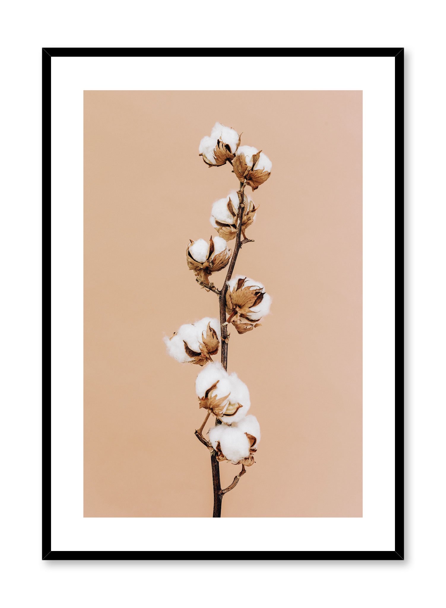Climbing Cotton Poster Prints Wall Art Gift For Home Decoration 12x18 16x24 20x30 24x36 Inches