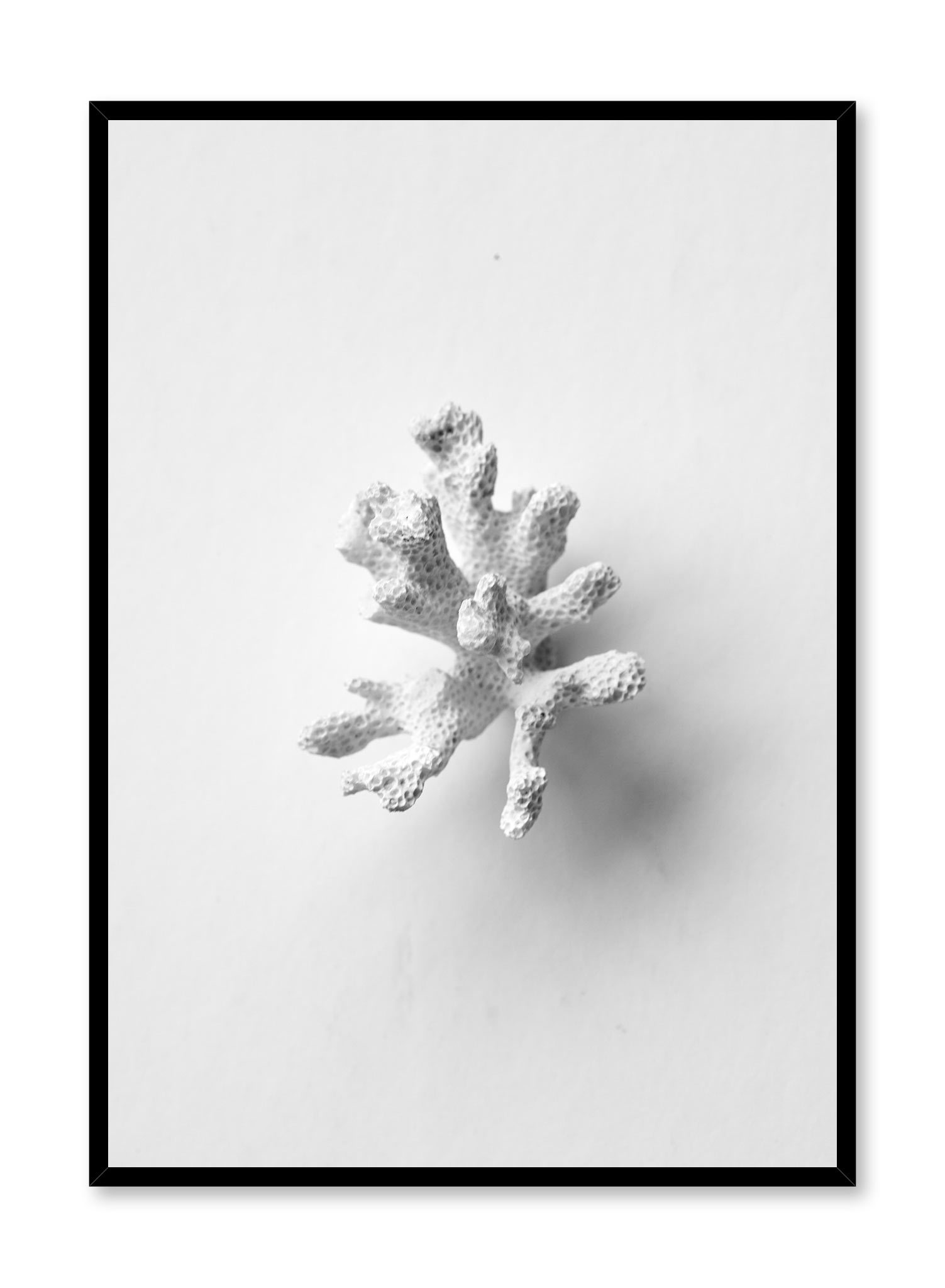 Coral Sprig Poster Prints Wall Art Gift For Home Decoration 12x18 16x24 20x30 24x36 Inches
