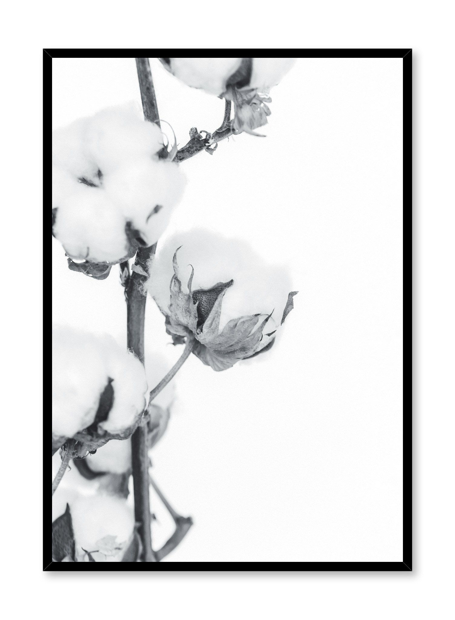 Cotton Clouds In Black And White Poster Prints Wall Art Gift For Home Decoration 12x18 16x24 20x30 24x36 Inches