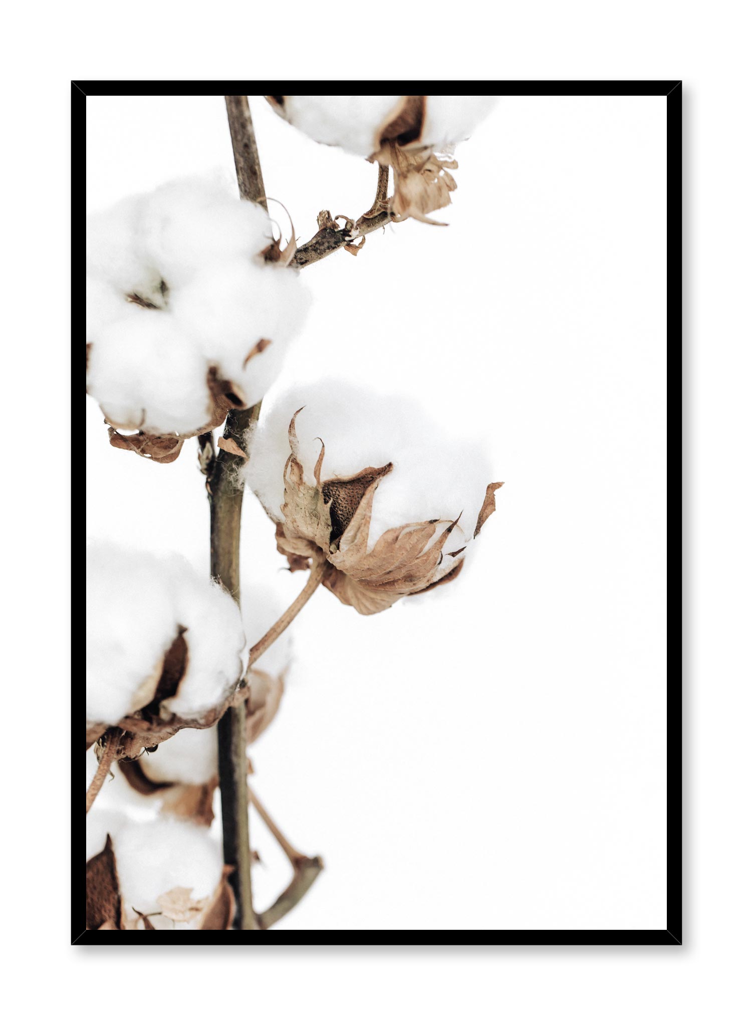 Cotton Clouds Poster Prints Wall Art Gift For Home Decoration 12x18 16x24 20x30 24x36 Inches