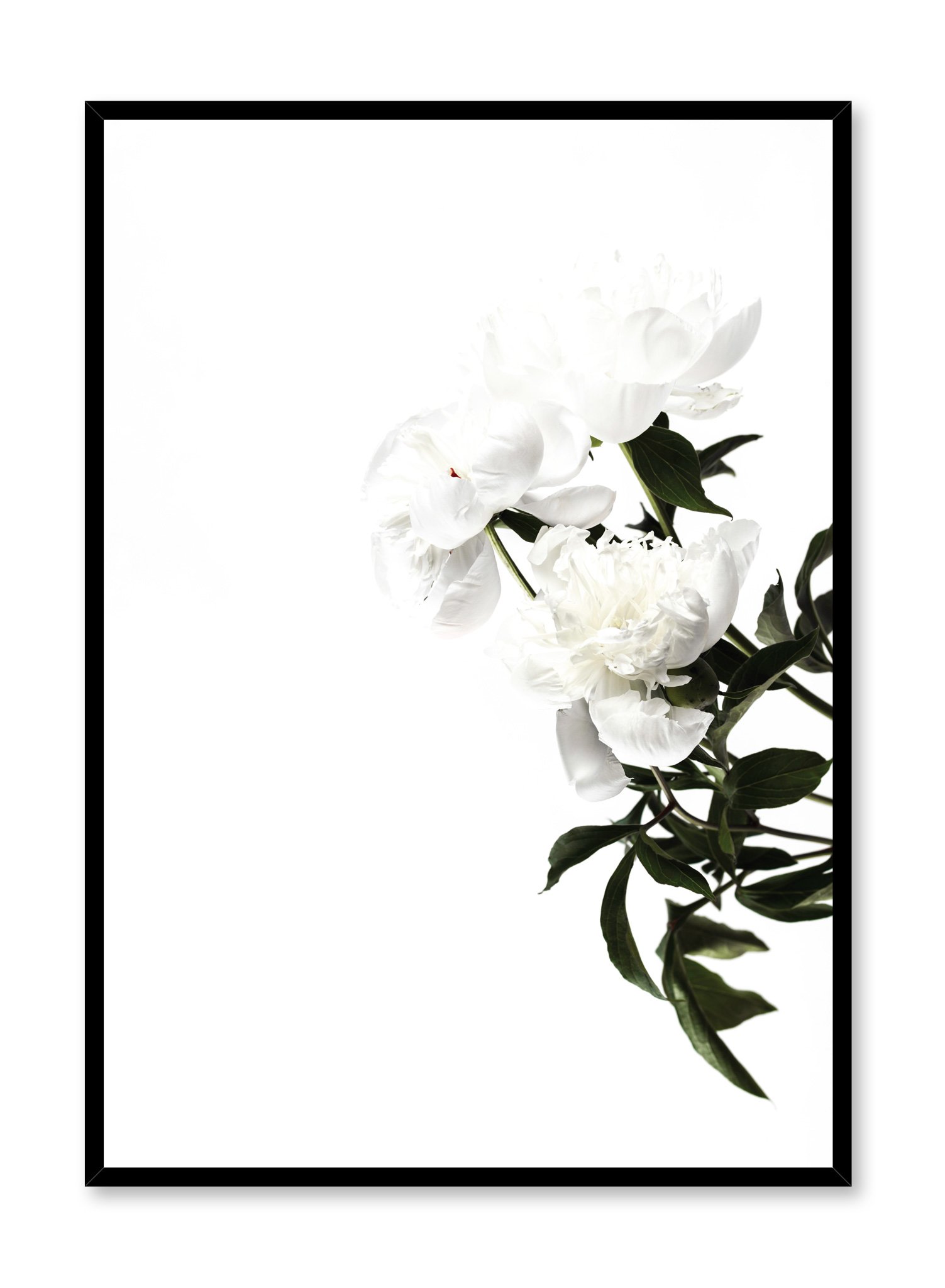 Daylight Poster Prints Wall Art Gift For Home Decoration 12x18 16x24 20x30 24x36 Inches