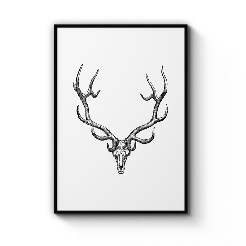 Deer With Giant Antlers Drawing Minimal Wild Nursery Animal Poster Prints Wall Art Gift For Home Decoration 12x18 16x24 20x30 24x36 Inches