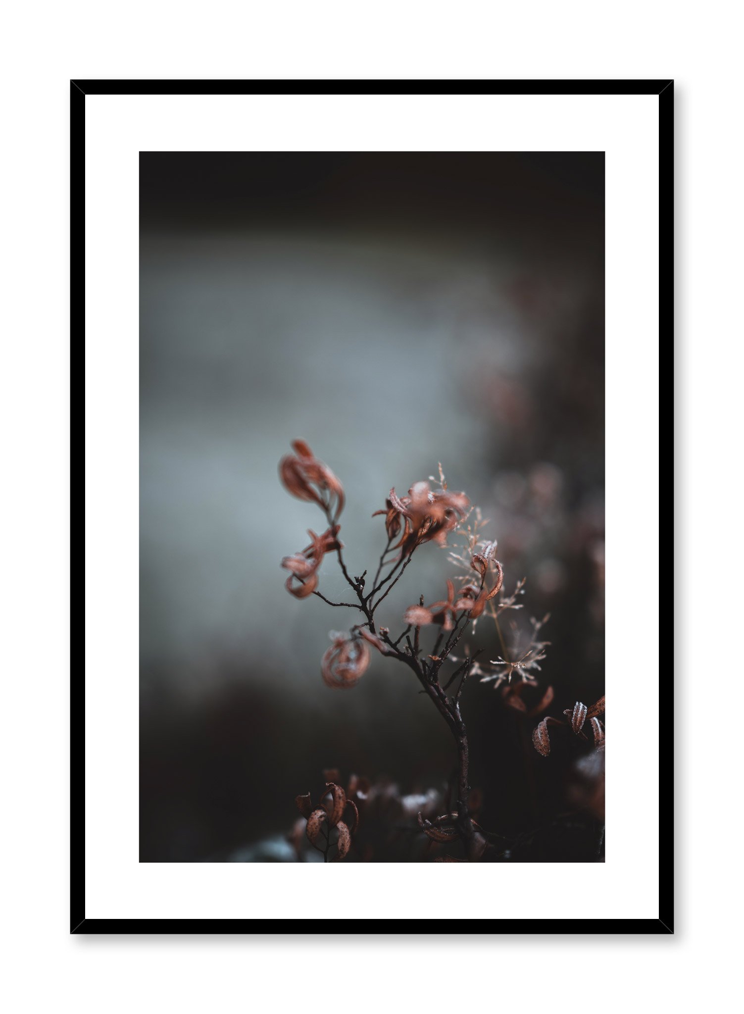 Delicate Flower Poster Prints Wall Art Gift For Home Decoration 12x18 16x24 20x30 24x36 Inches