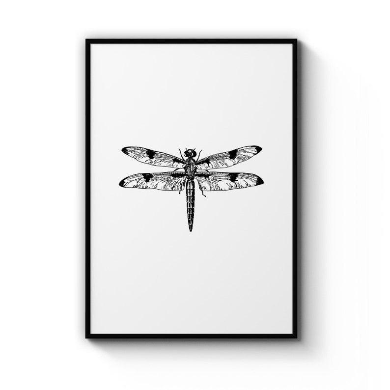 Dragonfly Drawing Diagram Insect Nursery Animal Poster Prints Wall Art Gift For Home Decoration 12x18 16x24 20x30 24x36 Inches