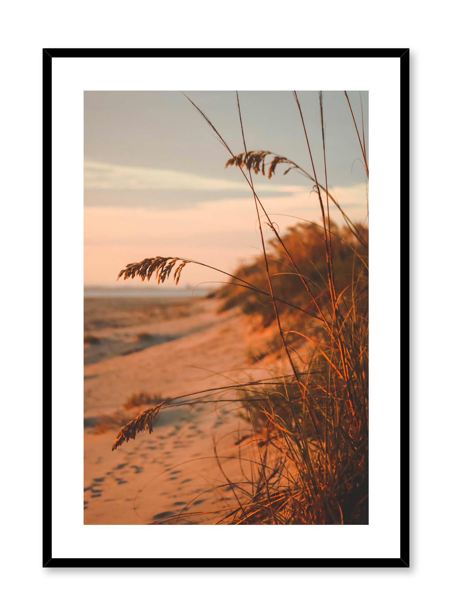 Dune Feathers Poster Prints Wall Art Gift For Home Decoration 12x18 16x24 20x30 24x36 Inches