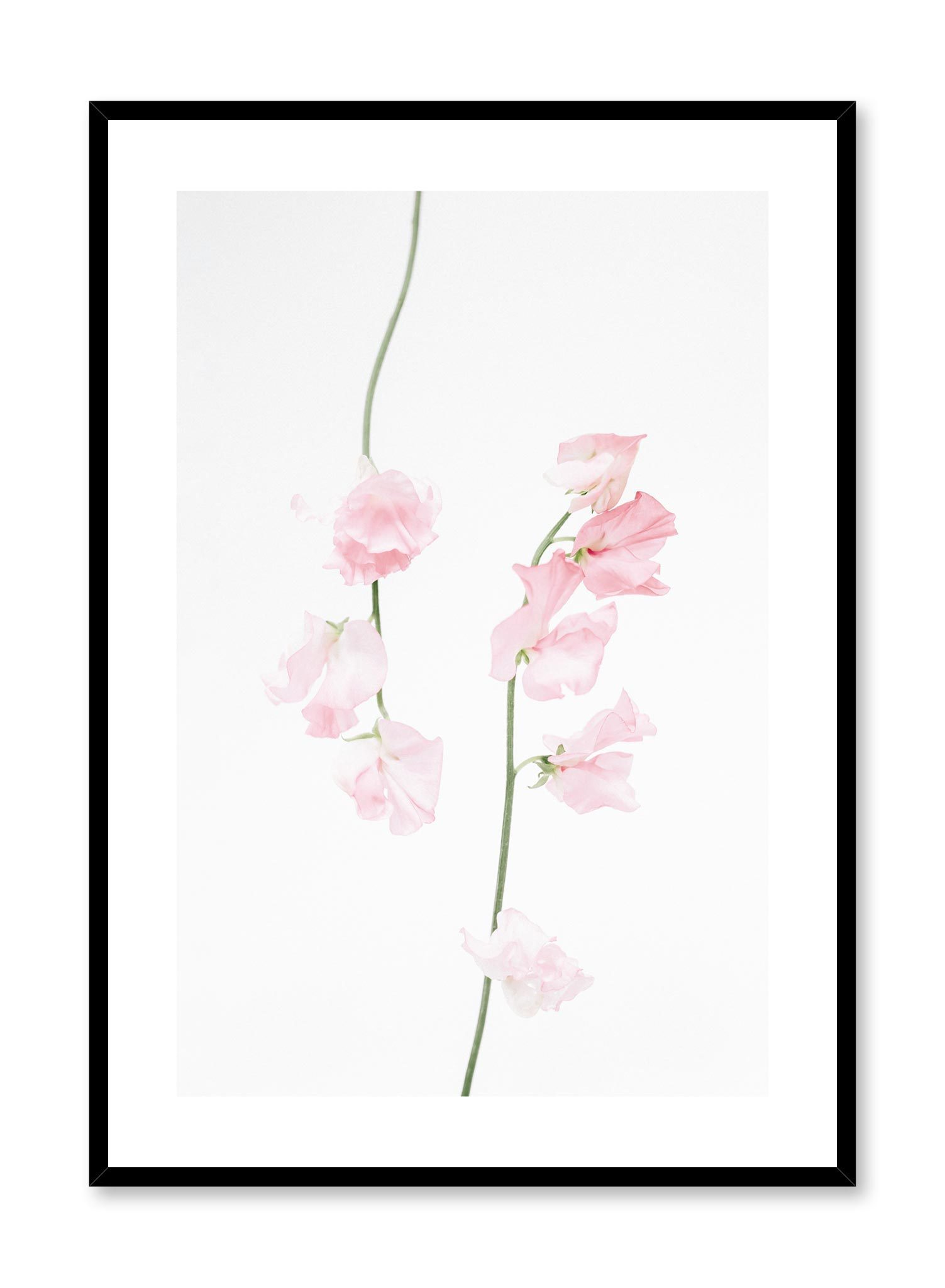 Dusty Pink Poster Prints Wall Art Gift For Home Decoration 12x18 16x24 20x30 24x36 Inches