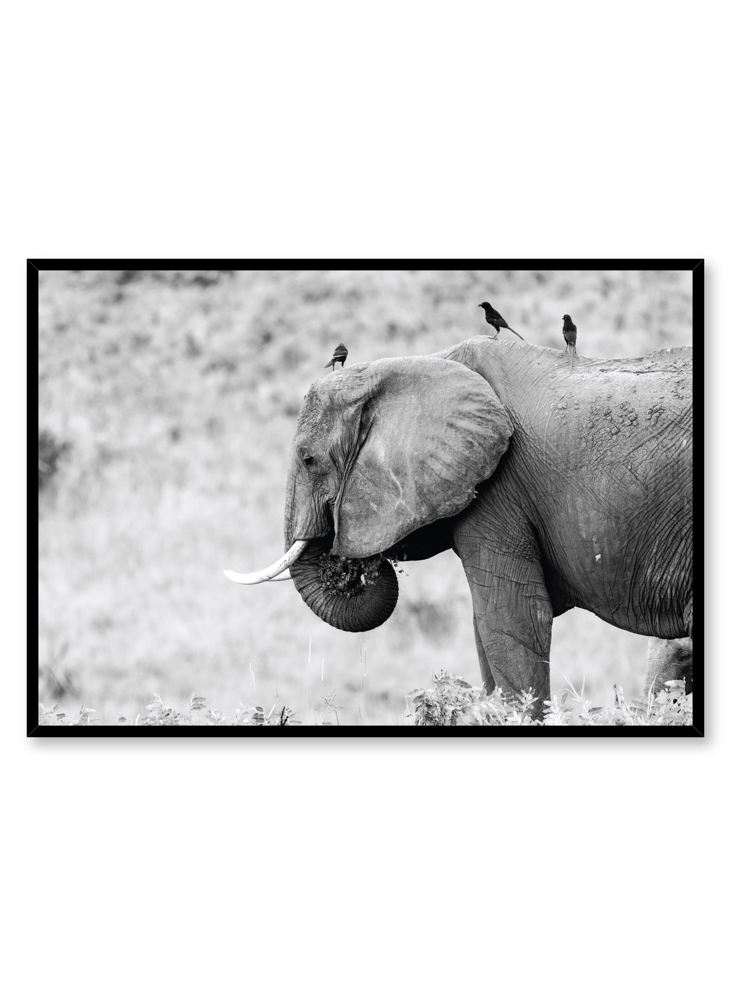 Elephant Poster Prints Wall Art Gift For Home Decoration 12x18 16x24 20x30 24x36 Inches