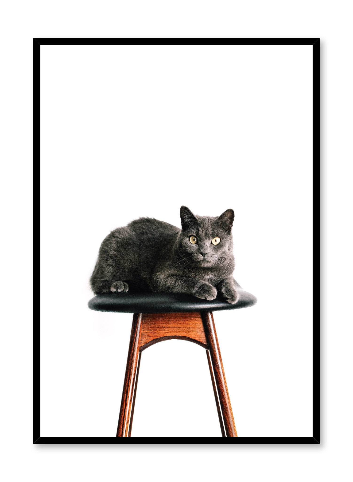 Feline Portrait Poster Prints Wall Art Gift For Home Decoration 12x18 16x24 20x30 24x36 Inches