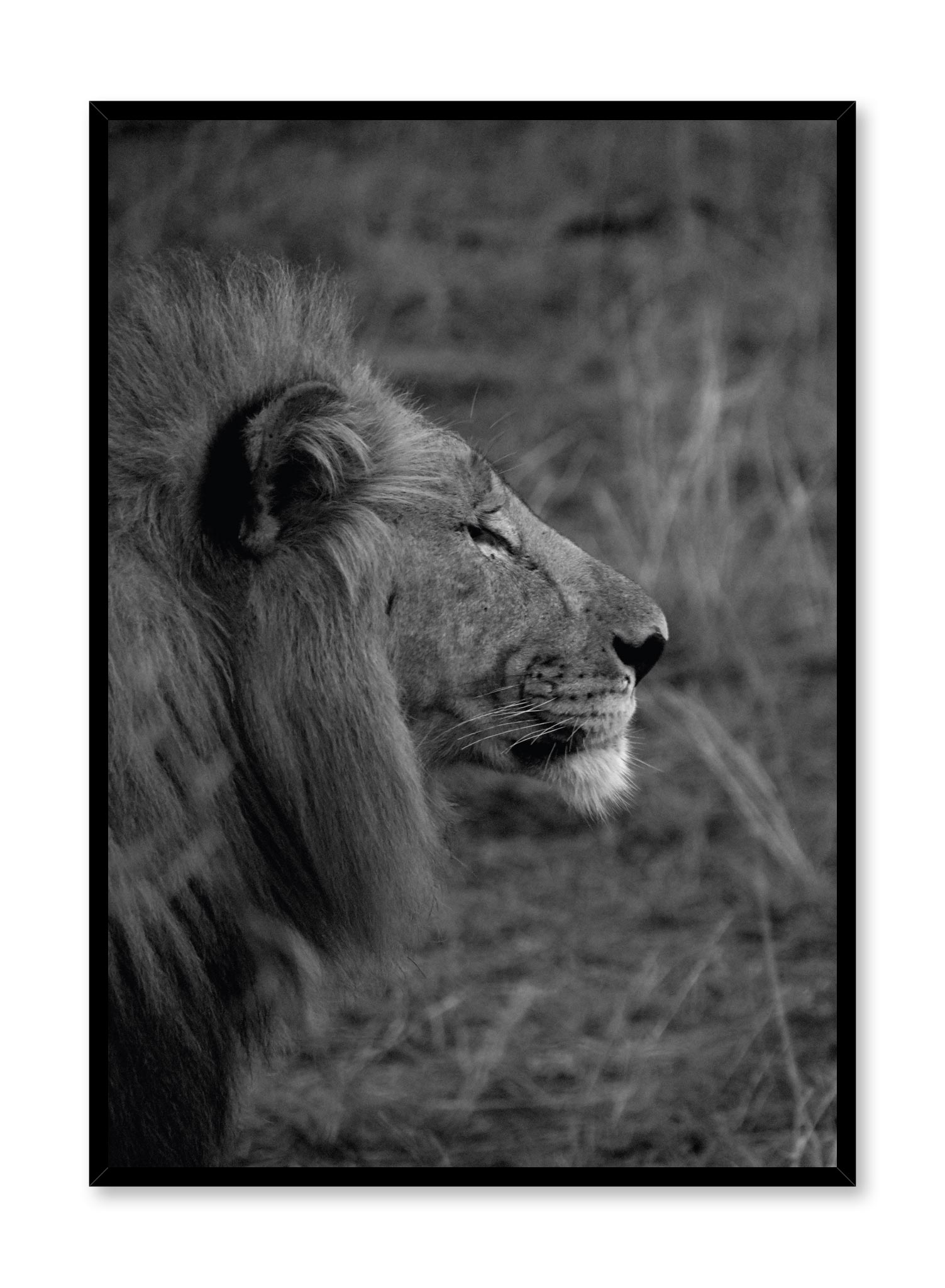 Feline Poster Prints Wall Art Gift For Home Decoration 12x18 16x24 20x30 24x36 Inches