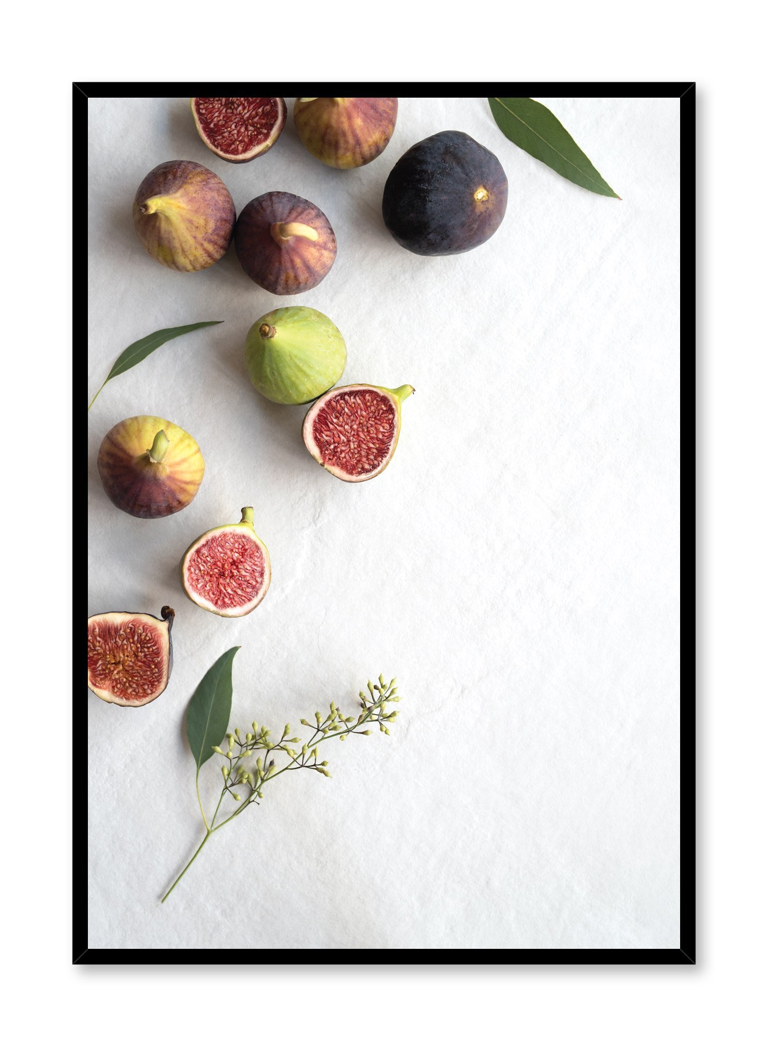 Figs Poster Prints Wall Art Gift For Home Decoration 12x18 16x24 20x30 24x36 Inches