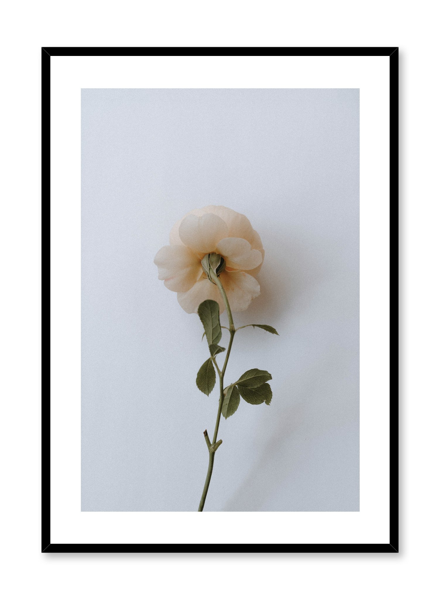 Floral Romance Poster Prints Wall Art Gift For Home Decoration 12x18 16x24 20x30 24x36 Inches