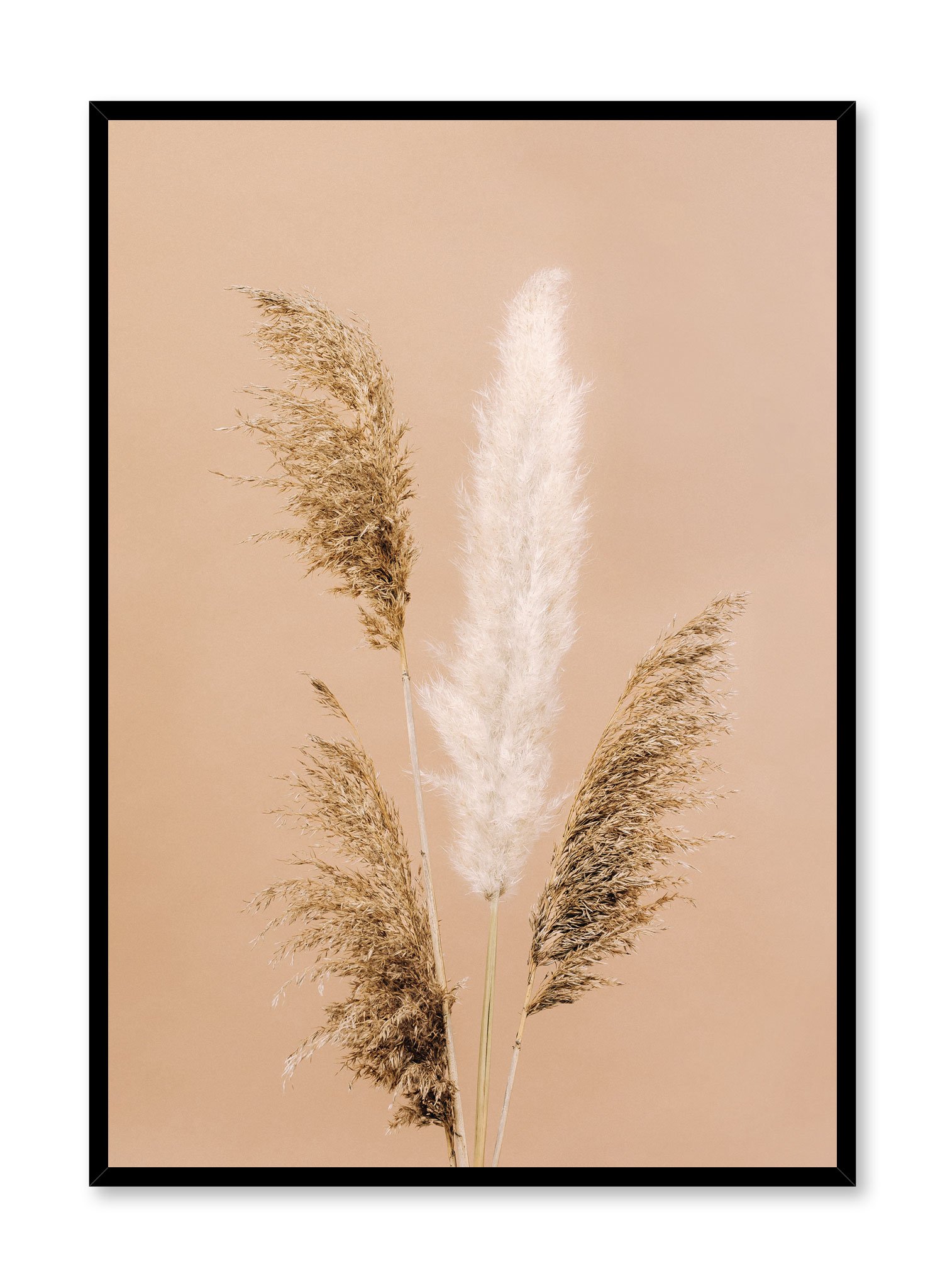 Gathering Of Grasses Poster Prints Wall Art Gift For Home Decoration 12x18 16x24 20x30 24x36 Inches