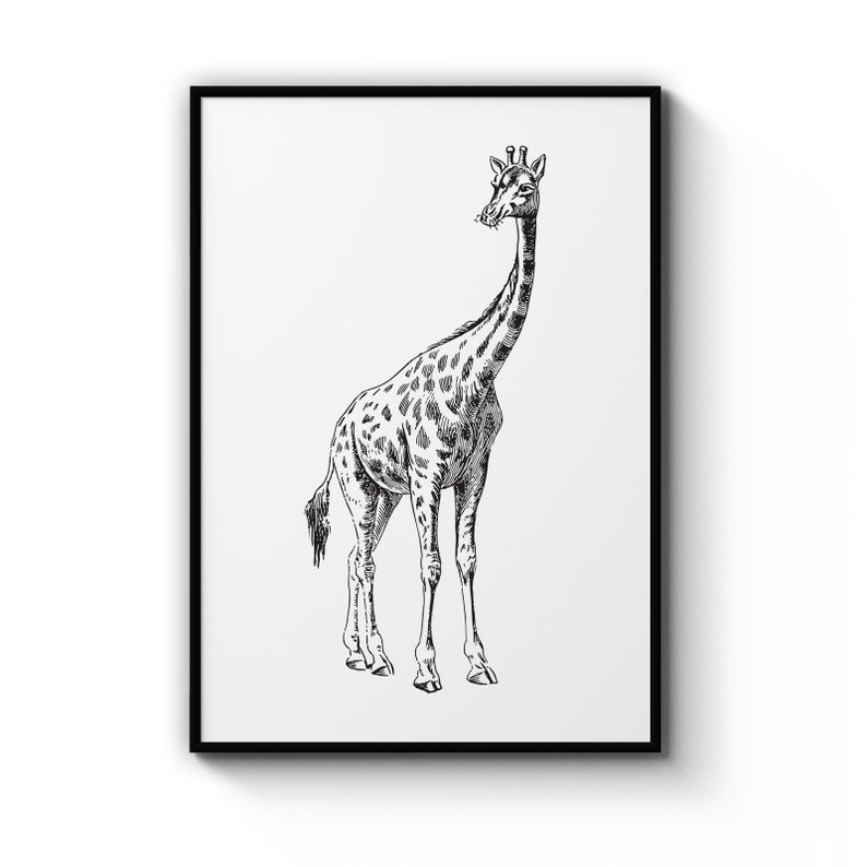 Giraffe Drawing Simple Safari Nursery Animal Poster Prints Wall Art Gift For Home Decoration 12x18 16x24 20x30 24x36 Inches