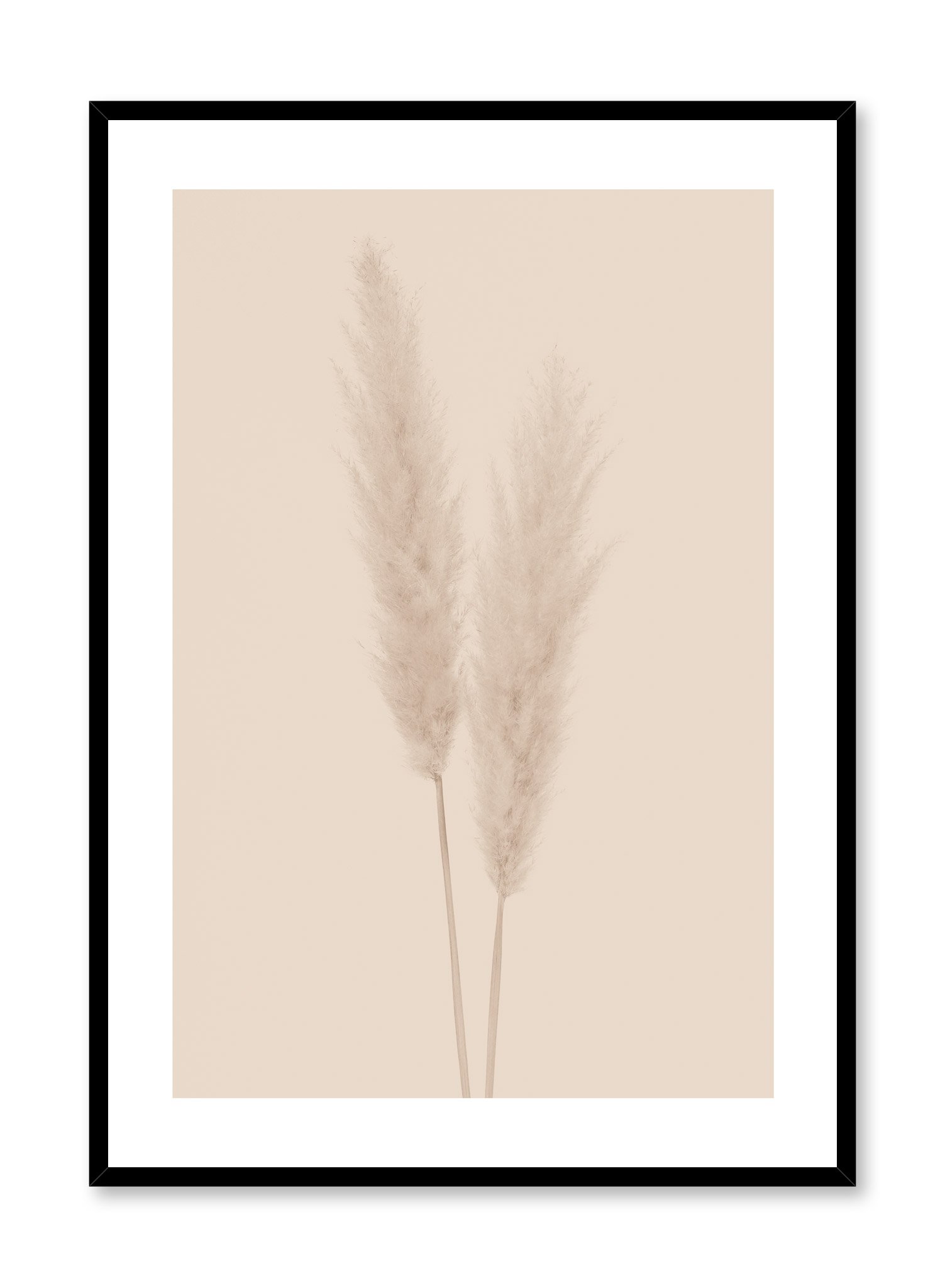 Grasses In Beige Poster Prints Wall Art Gift For Home Decoration 12x18 16x24 20x30 24x36 Inches