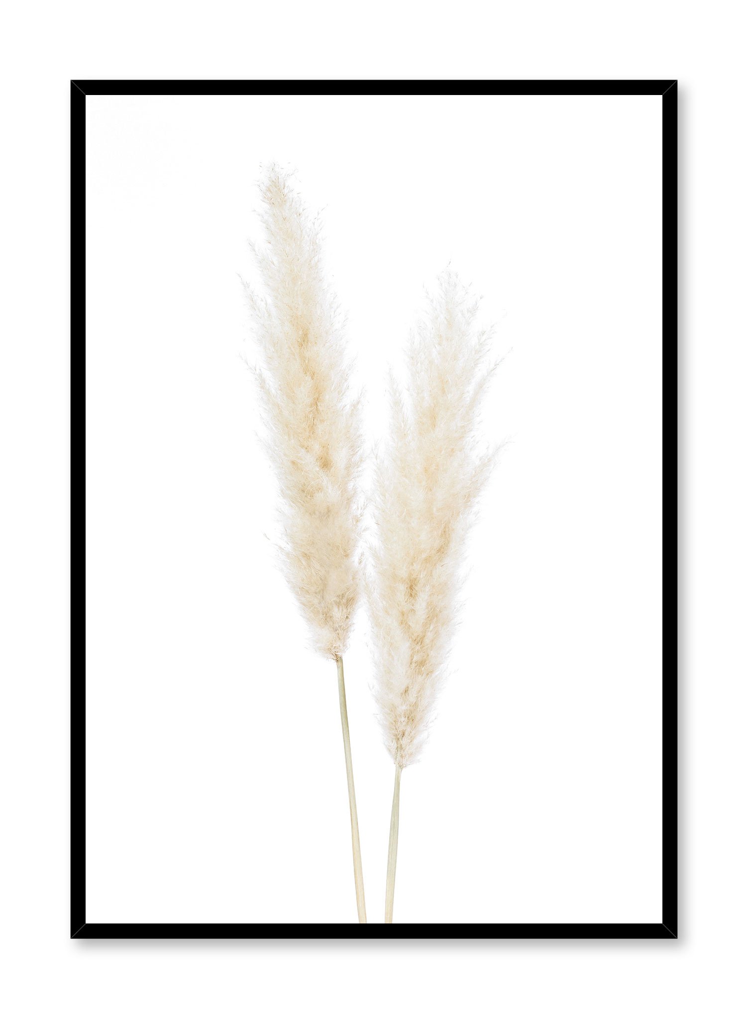 Grasses Poster Prints Wall Art Gift For Home Decoration 12x18 16x24 20x30 24x36 Inches
