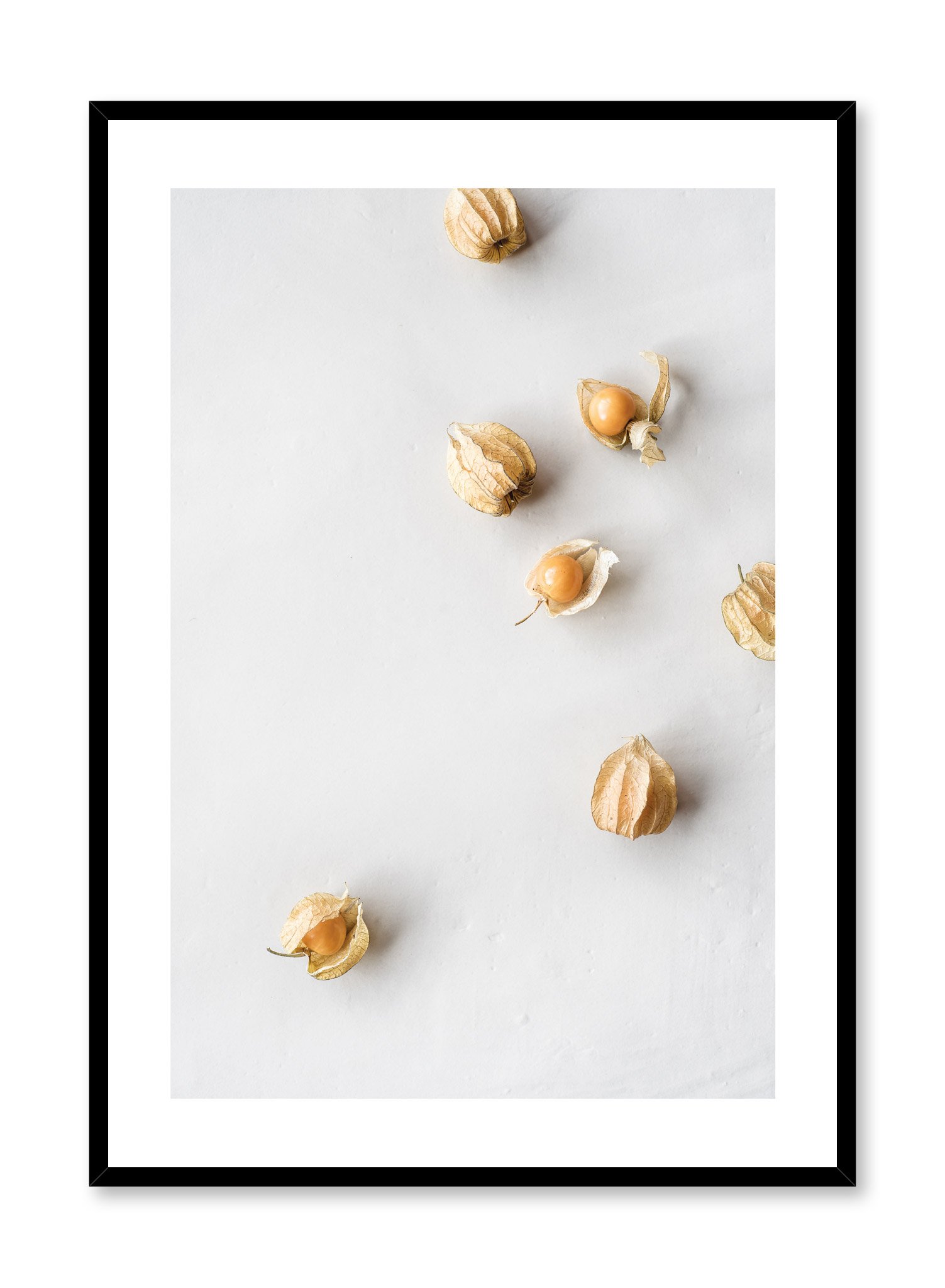 Ground Cherries Poster Prints Wall Art Gift For Home Decoration 12x18 16x24 20x30 24x36 Inches
