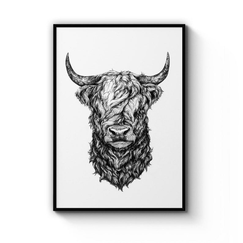 Highland Cow Detailed Head Drawing Nursery Animal Poster Prints Wall Art Gift For Home Decoration 12x18 16x24 20x30 24x36 Inches