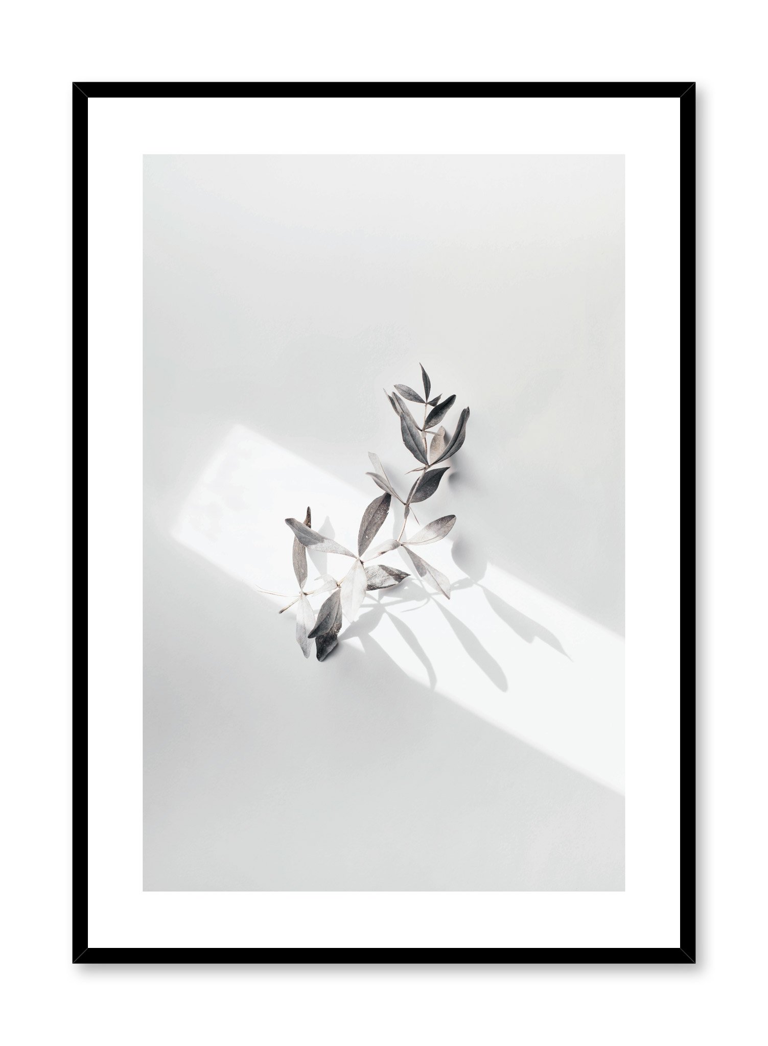 In The Spotlight Poster Prints Wall Art Gift For Home Decoration 12x18 16x24 20x30 24x36 Inches