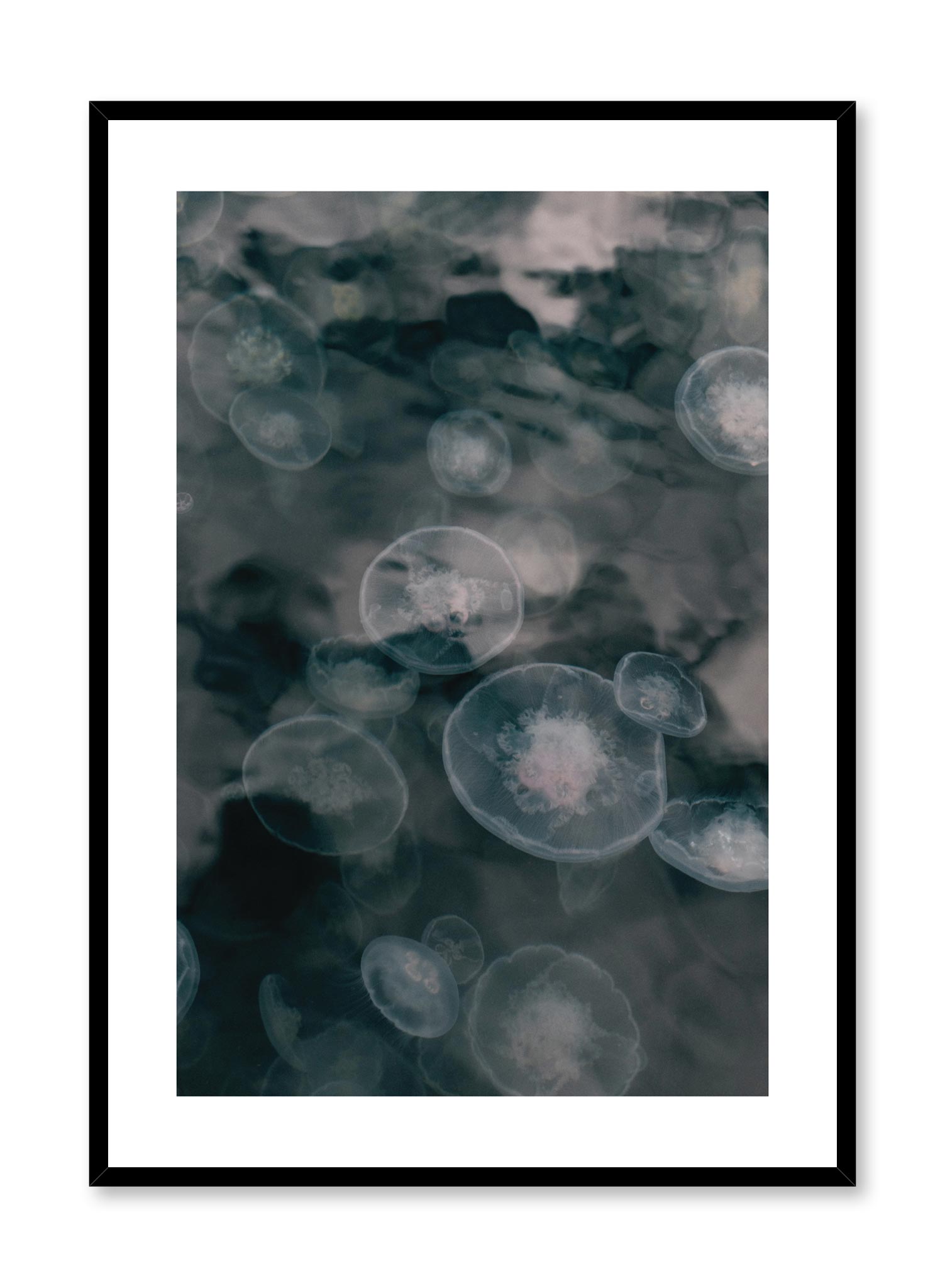 Jelly Poster Prints Wall Art Gift For Home Decoration 12x18 16x24 20x30 24x36 Inches