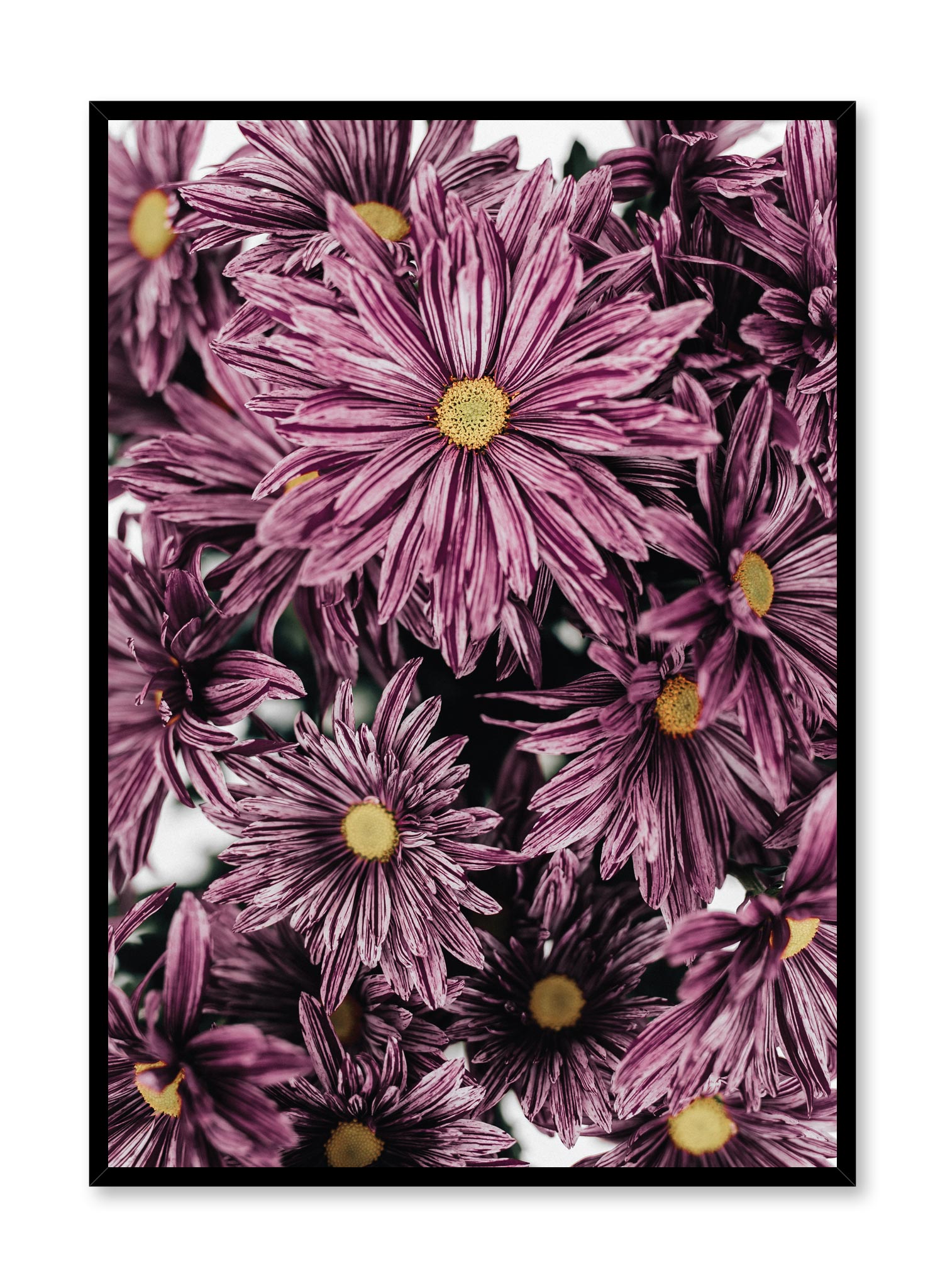 Mauve Blossoms Poster Prints Wall Art Gift For Home Decoration 12x18 16x24 20x30 24x36 Inches