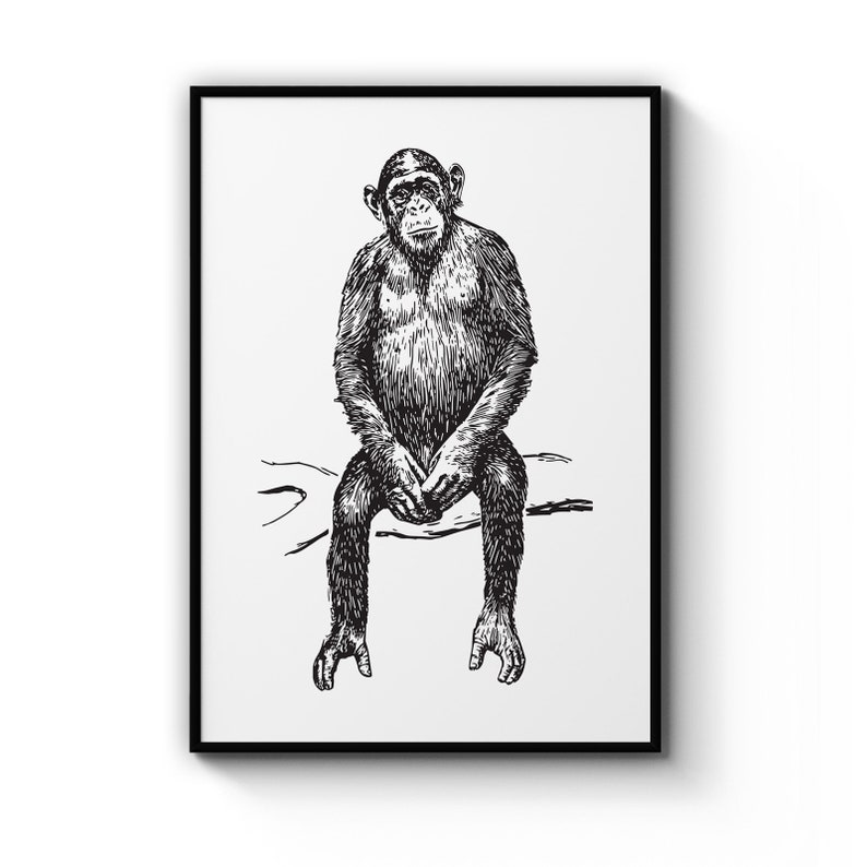 Minimal Monkey Portrait Drawing Office Decoration Library Animal Poster Prints Wall Art Gift For Home Decoration 12x18 16x24 20x30 24x36 Inches