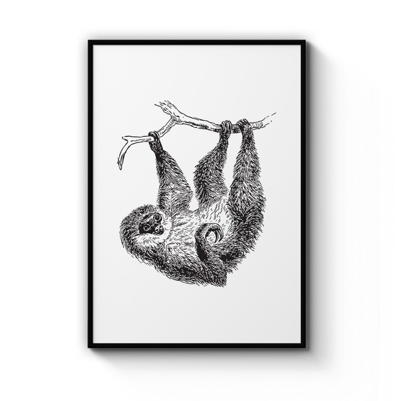 Minimal Sloth Black And White Jungle Nursery Animal Poster Prints Wall Art Gift For Home Decoration 12x18 16x24 20x30 24x36 Inches