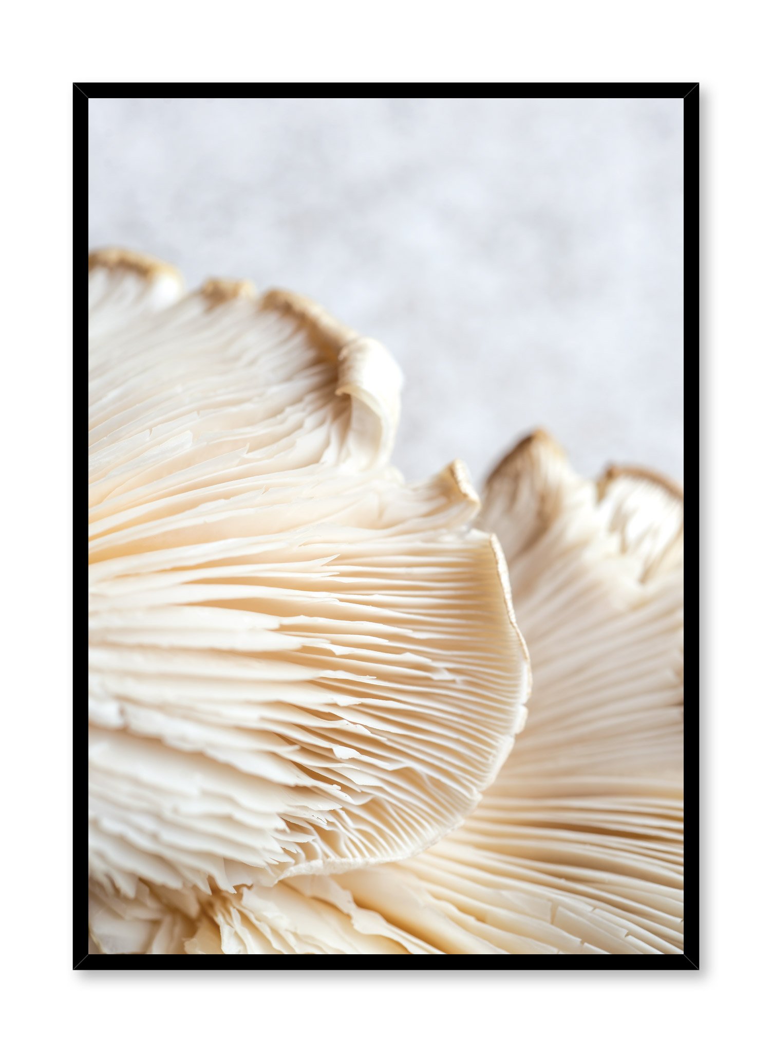 Mushroom Detail Poster Prints Wall Art Gift For Home Decoration 12x18 16x24 20x30 24x36 Inches