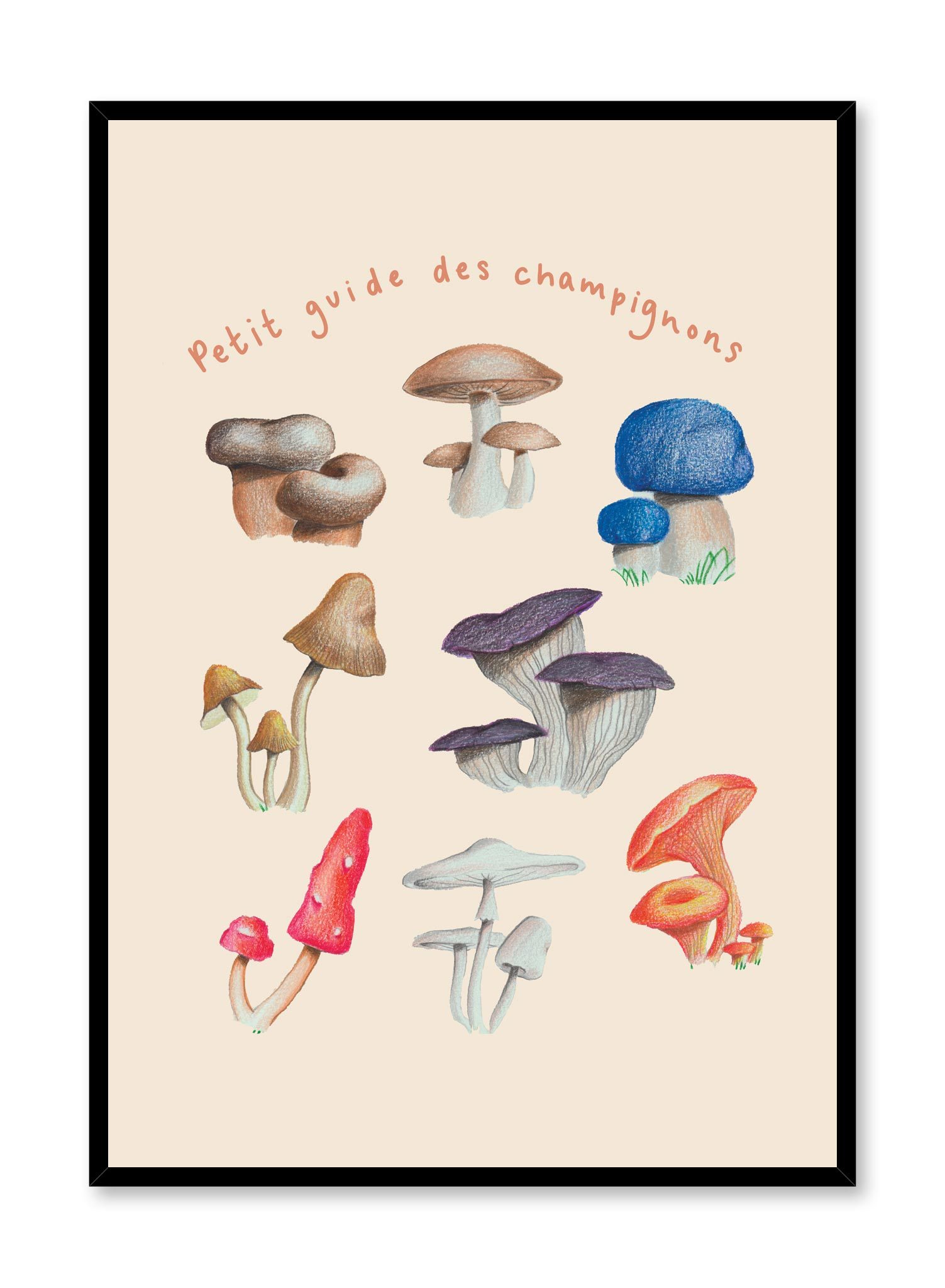 Mushroom Harvest In French Poster Prints Wall Art Gift For Home Decoration 12x18 16x24 20x30 24x36 Inches