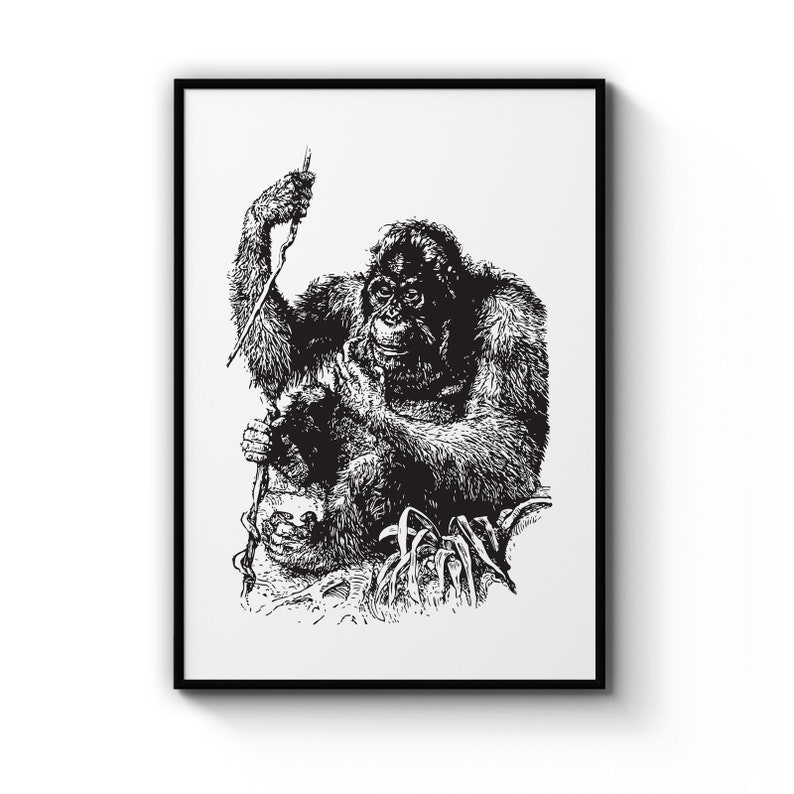 Orangutan Detailed Drawing Monkey Nursery Animal Poster Prints Wall Art Gift For Home Decoration 12x18 16x24 20x30 24x36 Inches