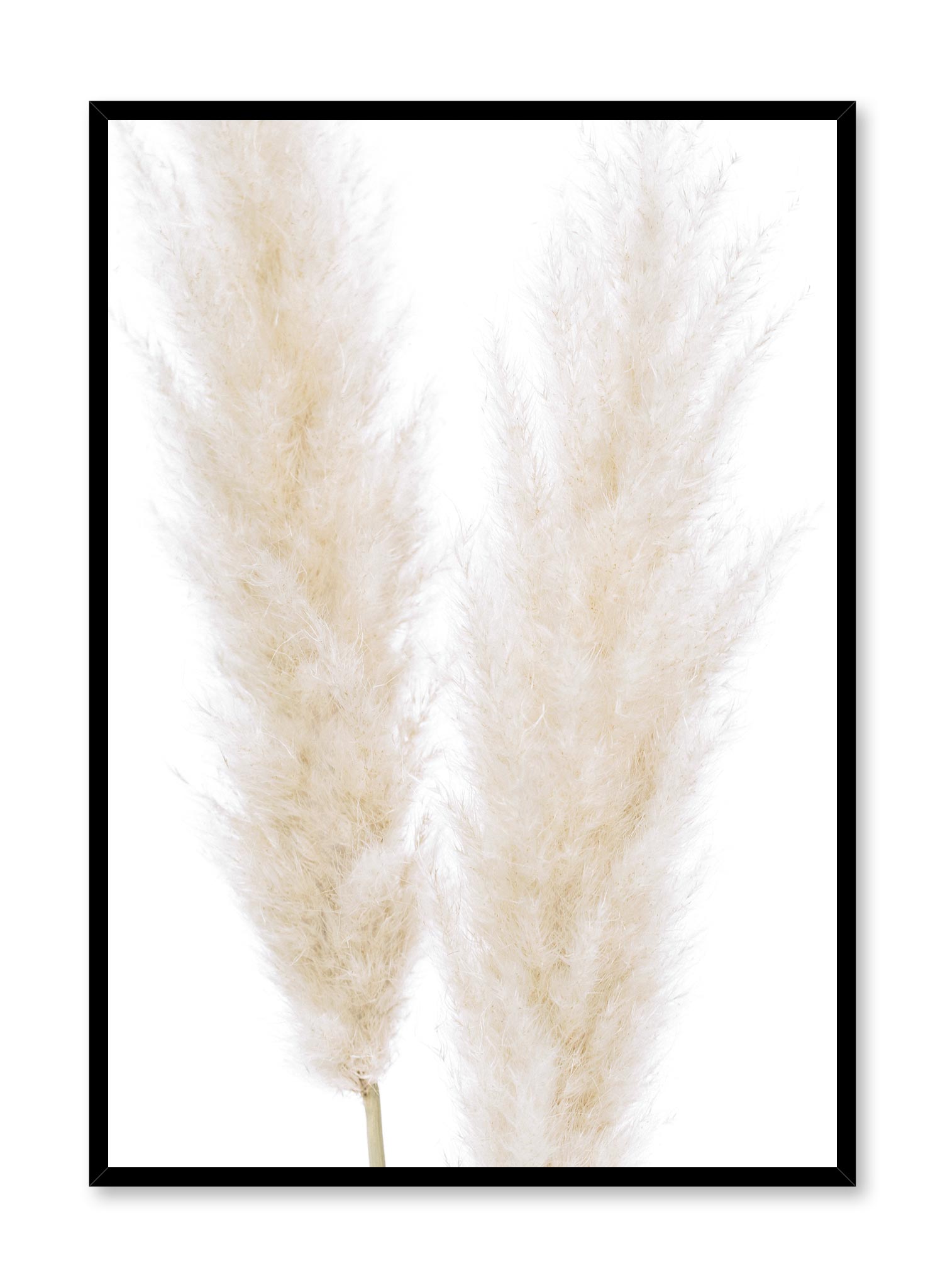 Ornamental Grasses Poster Prints Wall Art Gift For Home Decoration 12x18 16x24 20x30 24x36 Inches