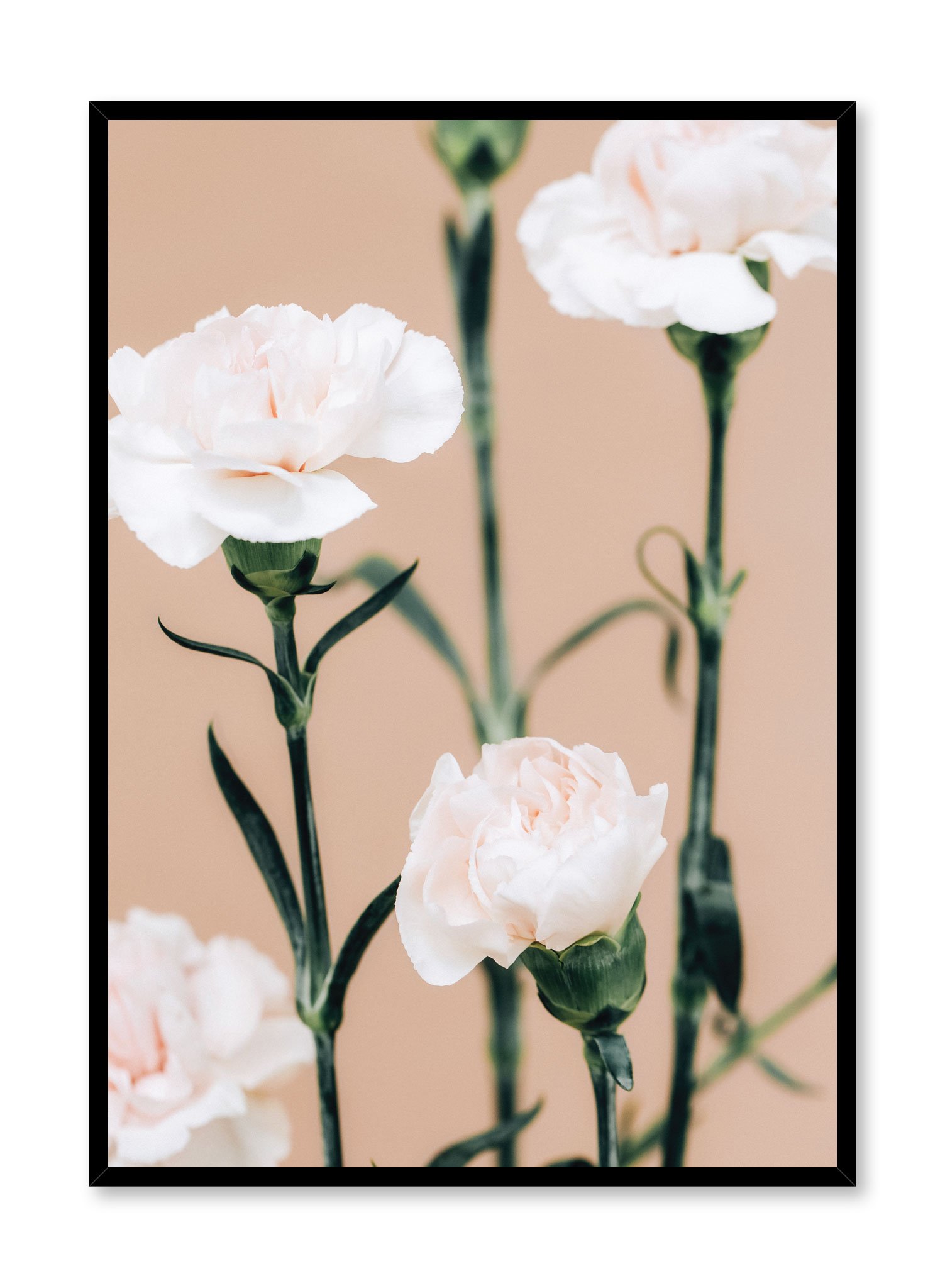 Pink Carnations Poster Prints Wall Art Gift For Home Decoration 12x18 16x24 20x30 24x36 Inches