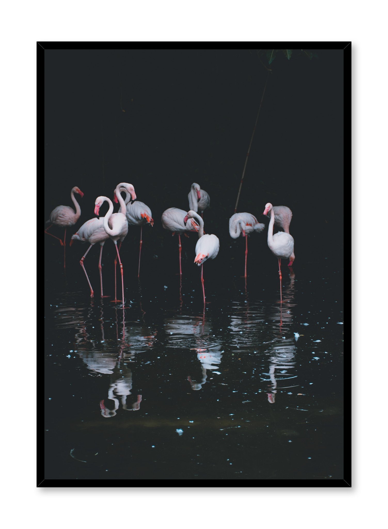 Pink Flamingos Poster Prints Wall Art Gift For Home Decoration 12x18 16x24 20x30 24x36 Inches
